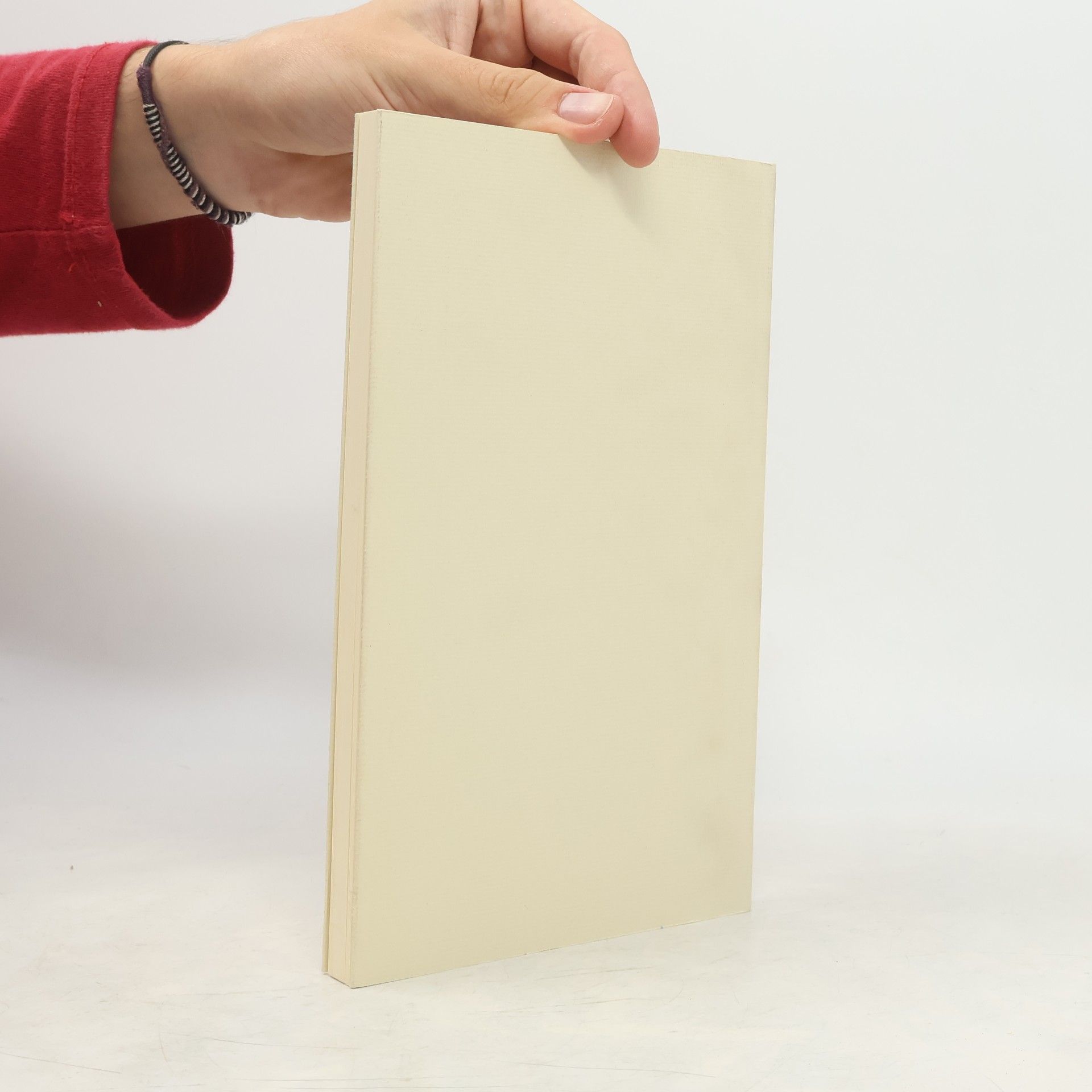 Hanna Grisebach Potsdamer Tagebuch