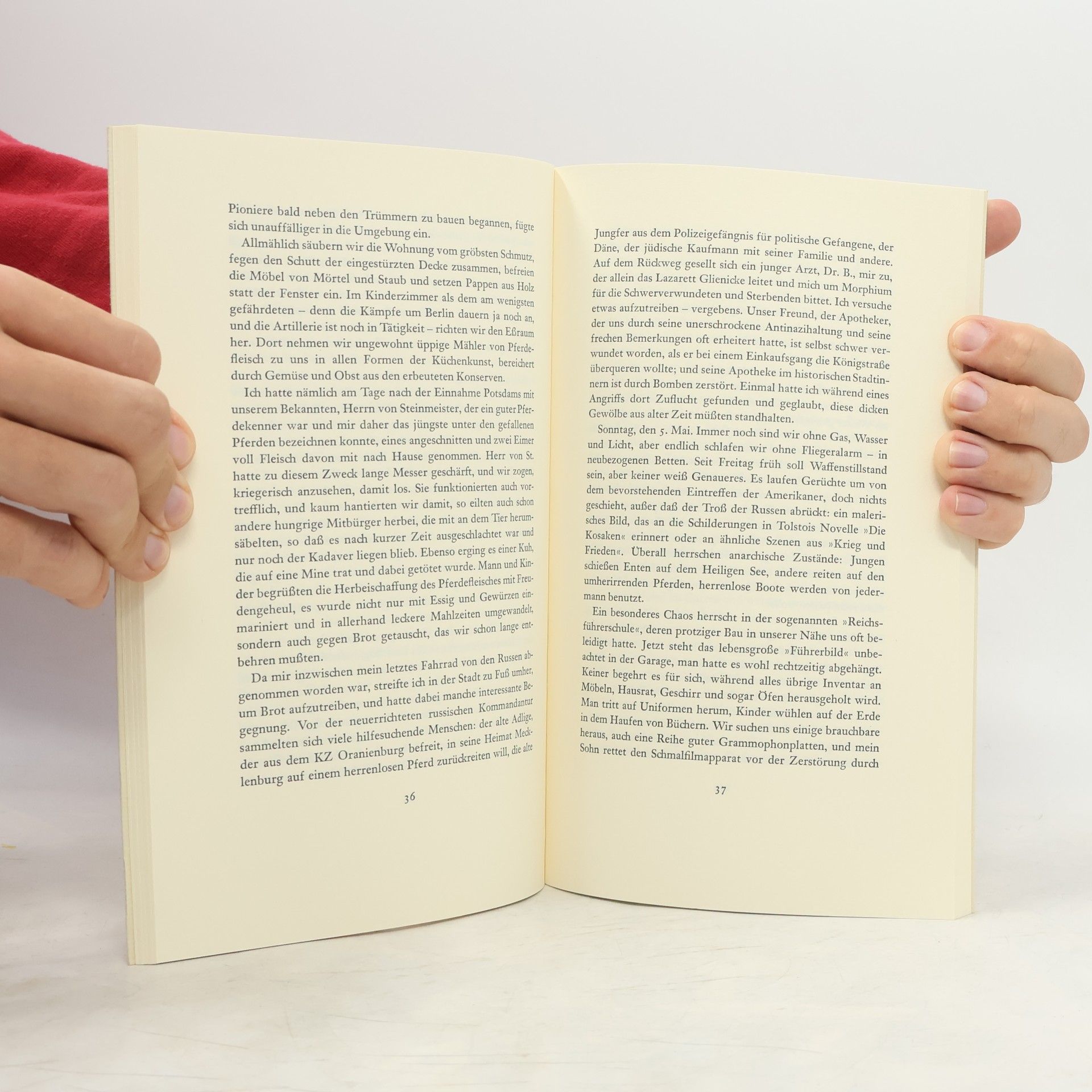 Hanna Grisebach Potsdamer Tagebuch