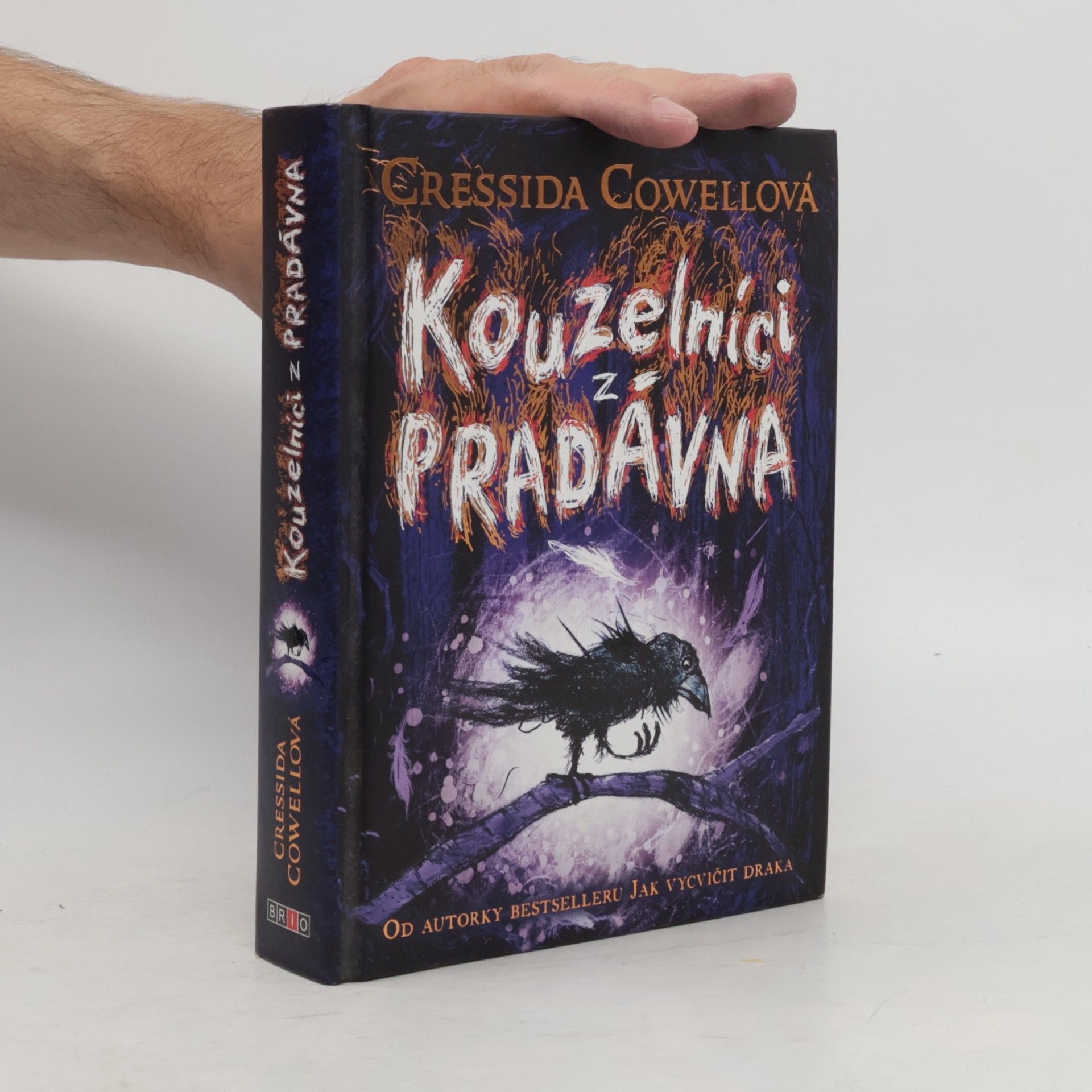 Cressida Cowell Kouzelníci z pradávna