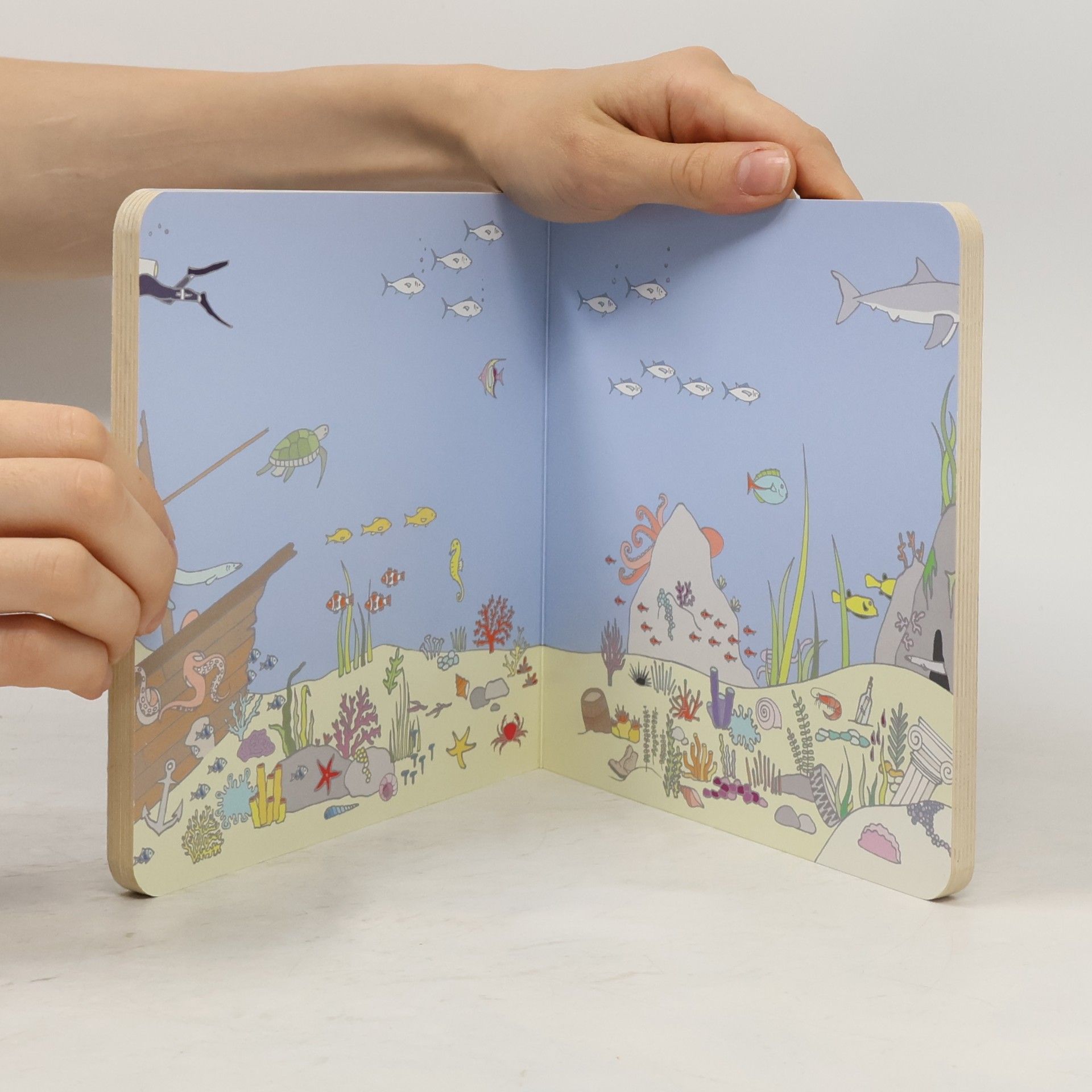 Vicky Bo Vicky Bo's Ein-Bild-Wimmelbuch Ozean