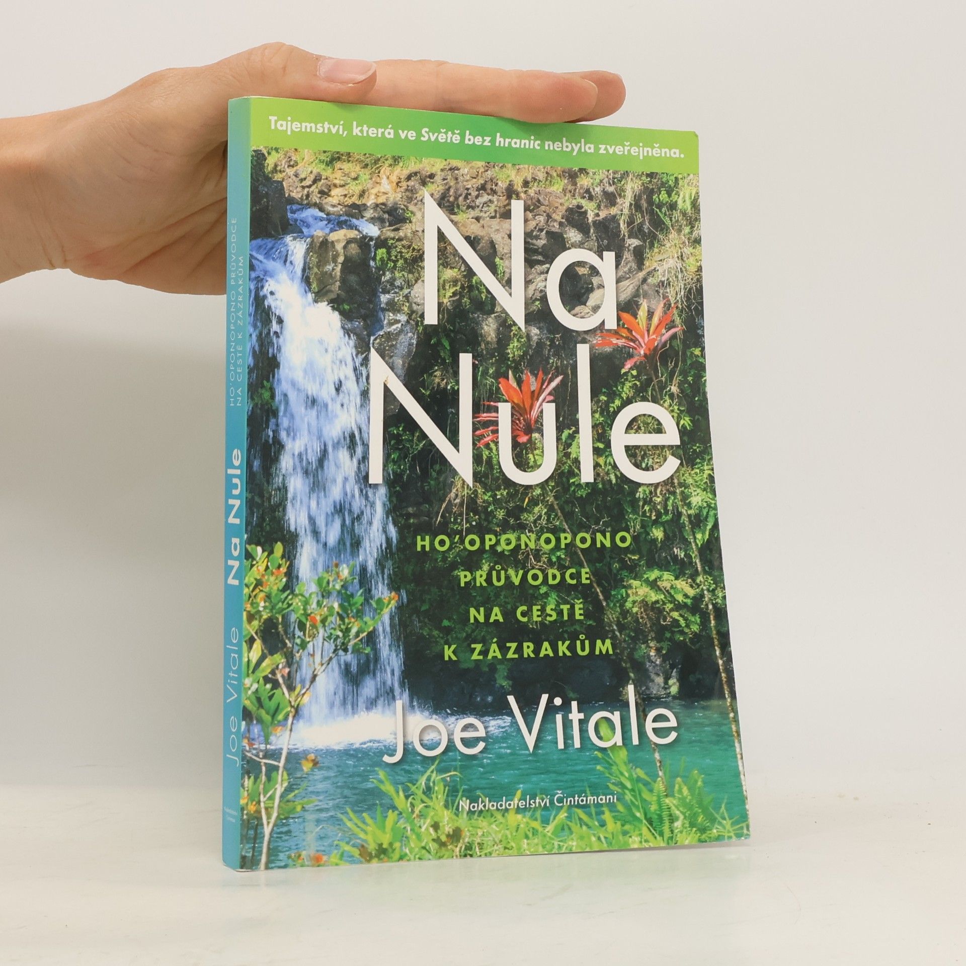Joe Vitale Na nule