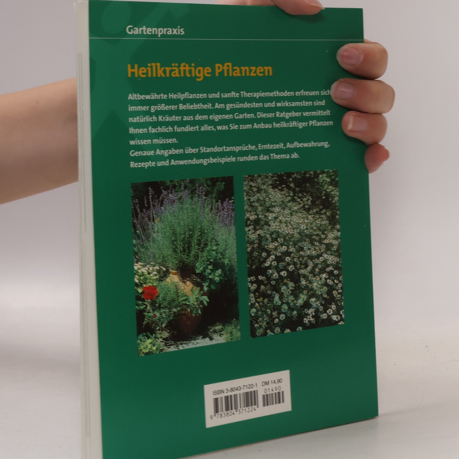 Eleonore Hohenberger Heilkräftige Pflanzen aus dem eigenen Garten