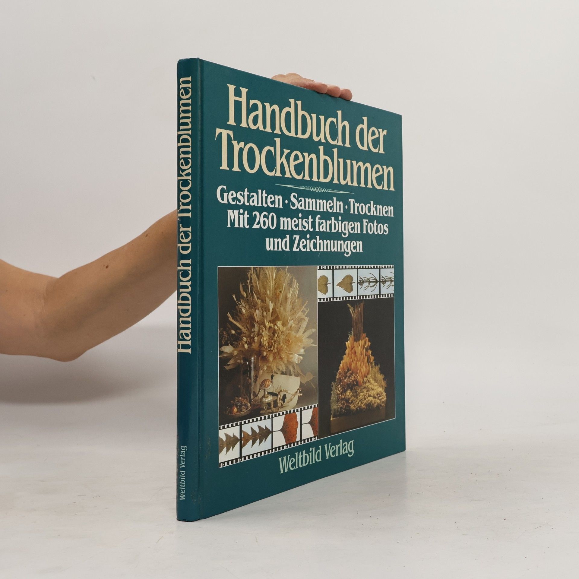 Frans Grummer Handbuch der Trockenblumen