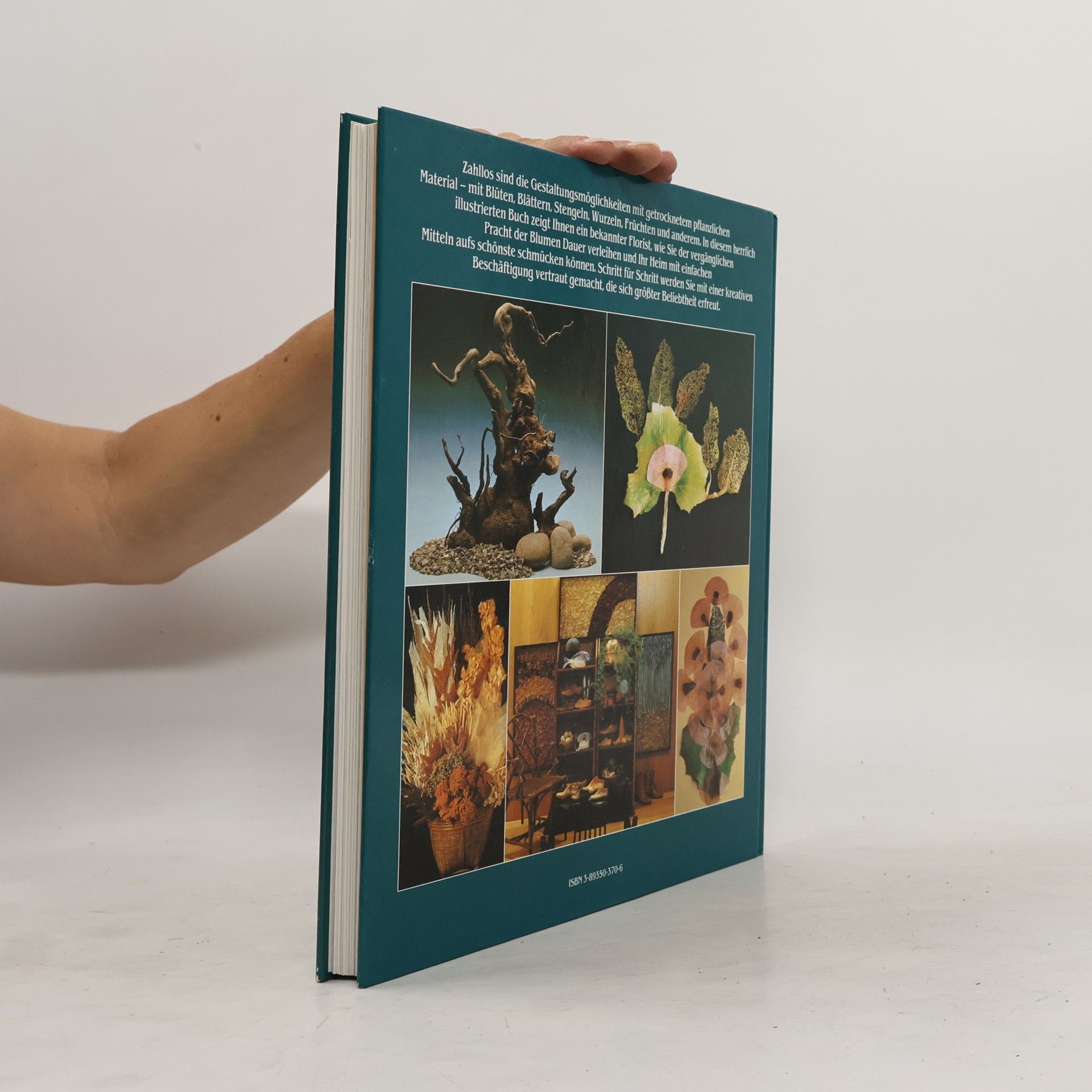 Marcus Würmli Handbuch der Trockenblumen