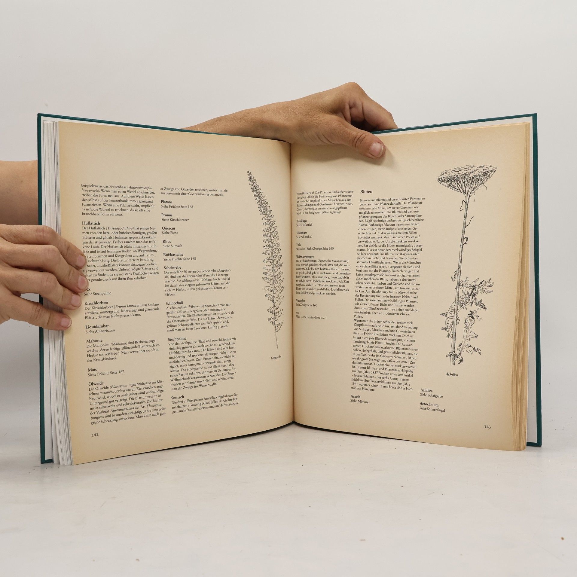 Marcus Würmli Handbuch der Trockenblumen