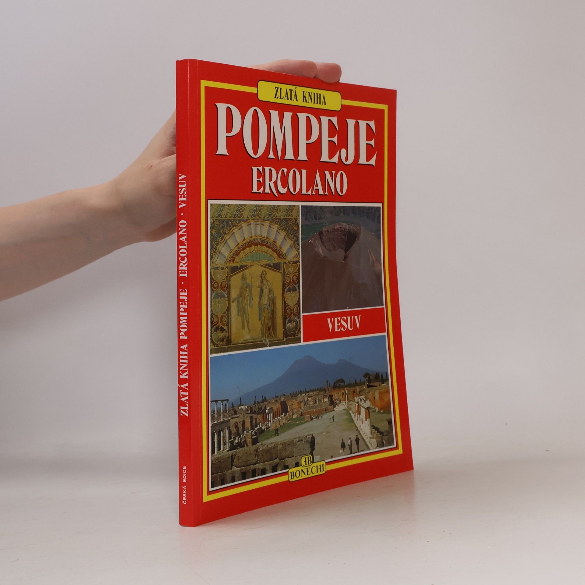 Monica Bonechi Pompeje, Hercolano, Vesuv