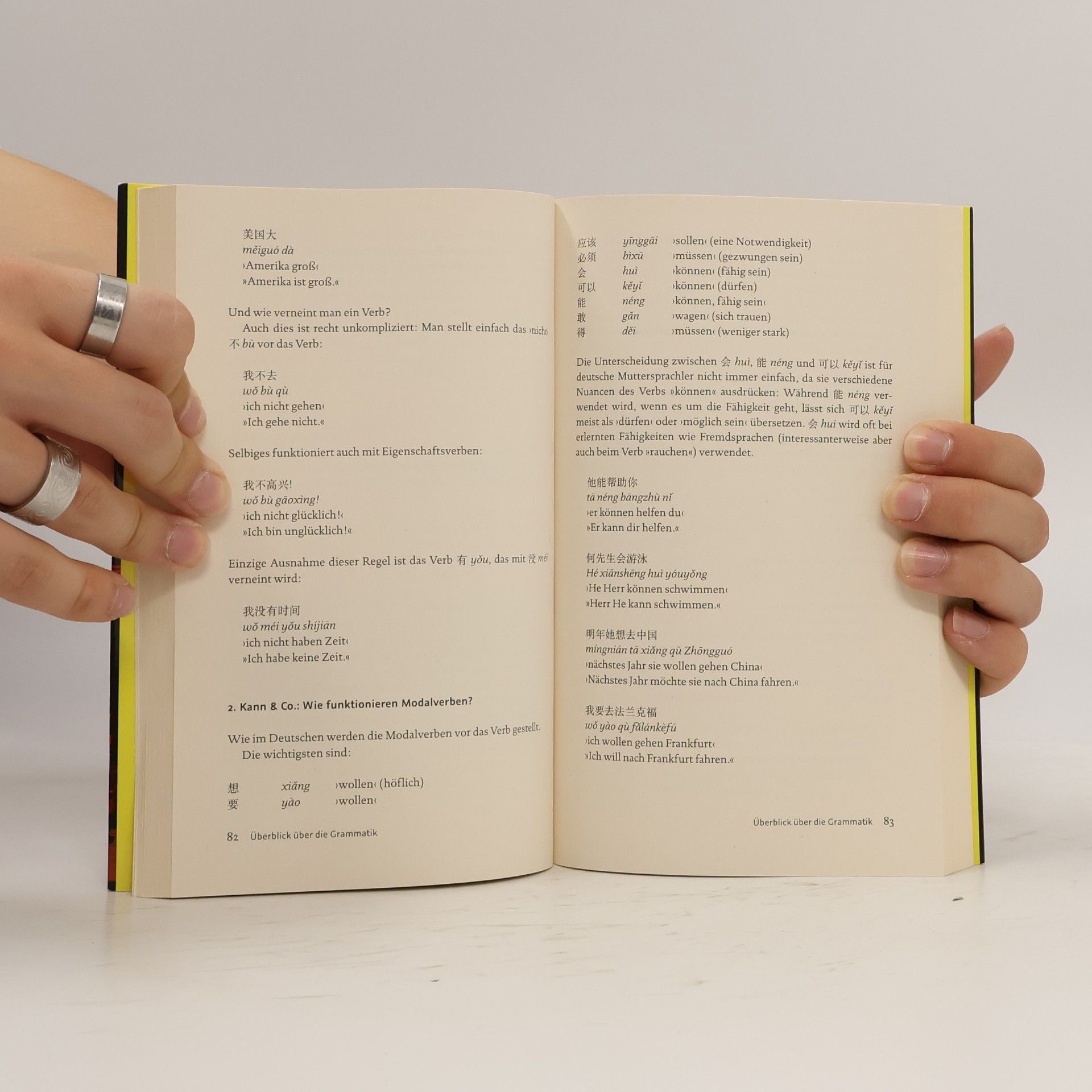 Francoise Hauser Gebrauchsanweisung Chinesisch
