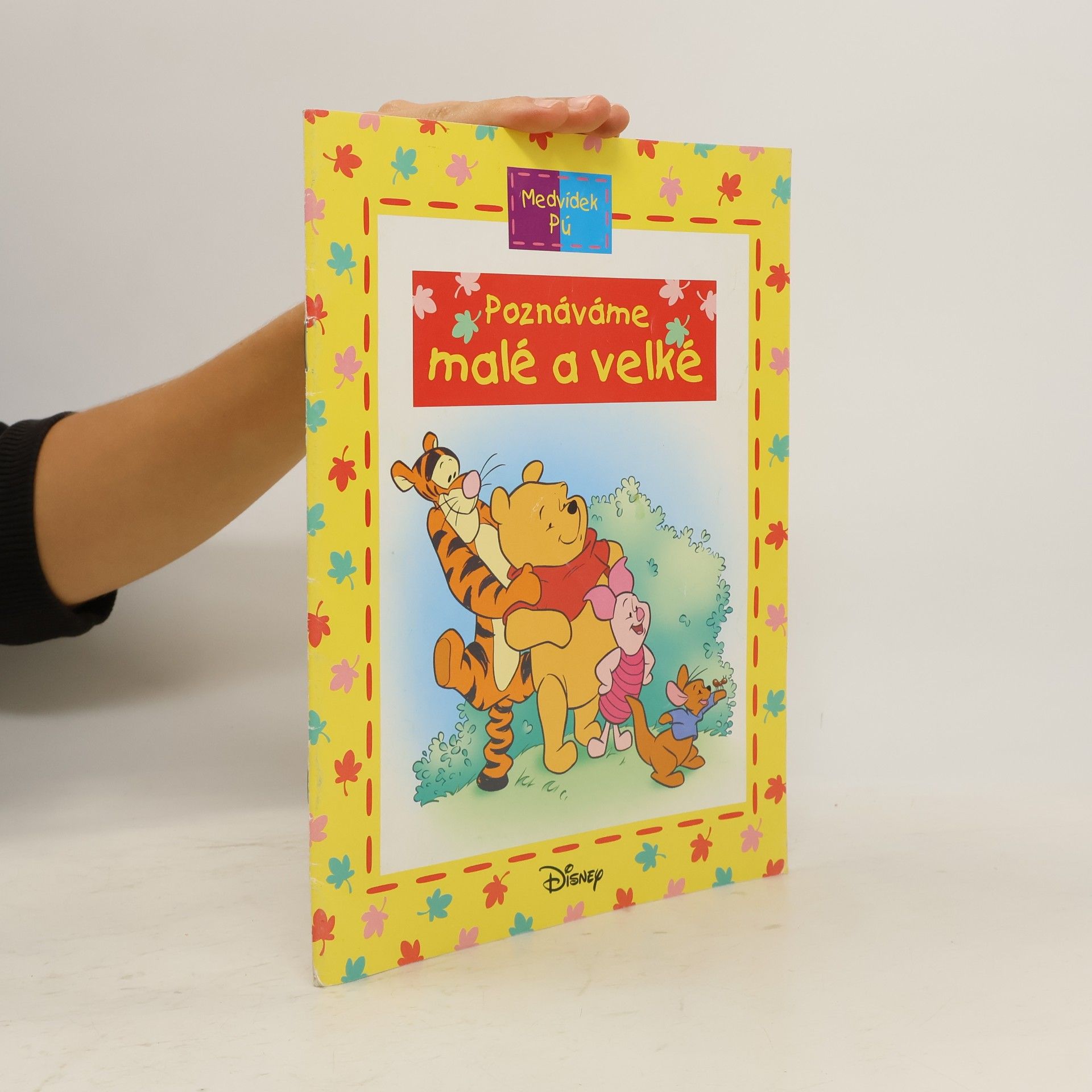 Walt Disney Medvídek Pú - Poznáváme malé a velké