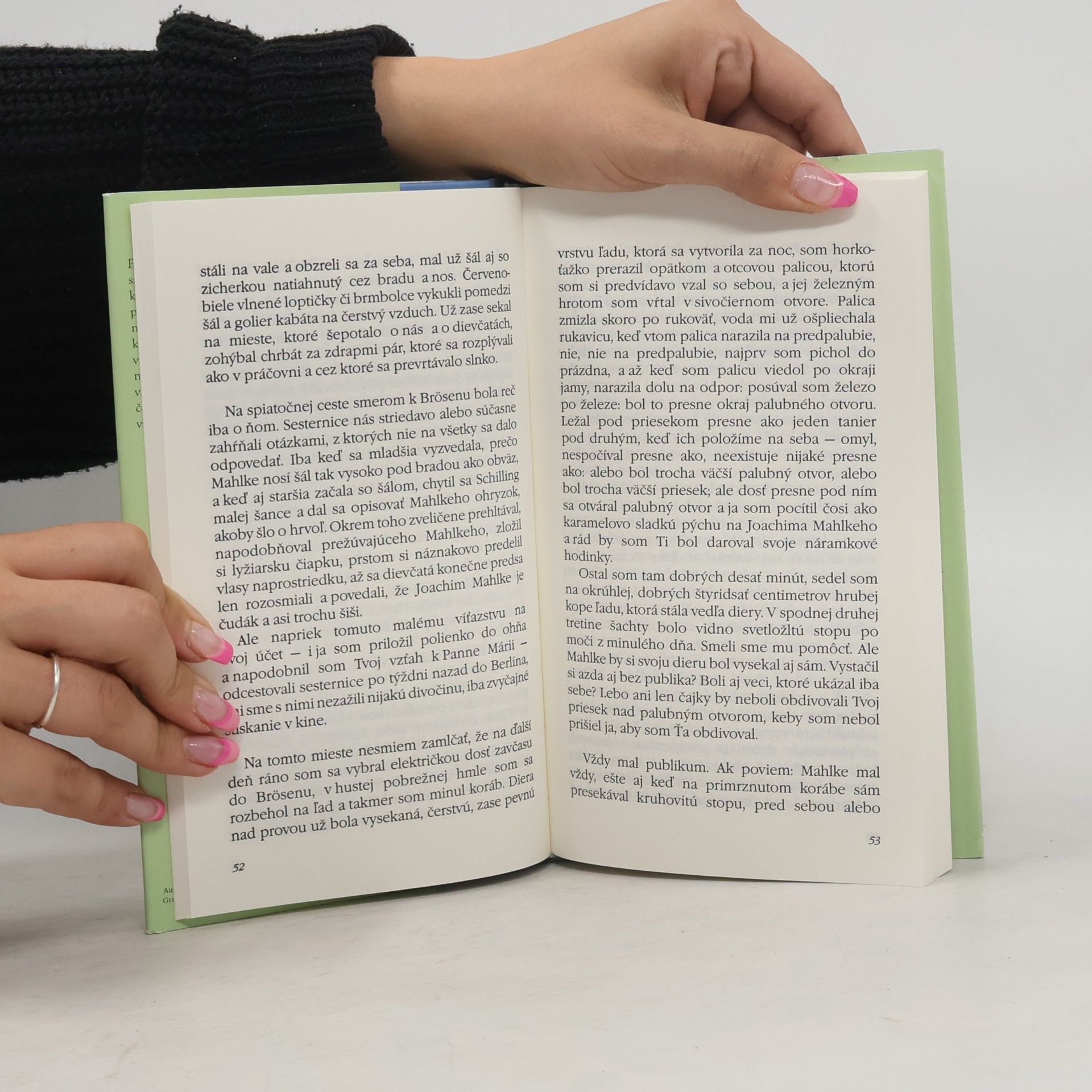 Günter Grass Mačka a myš