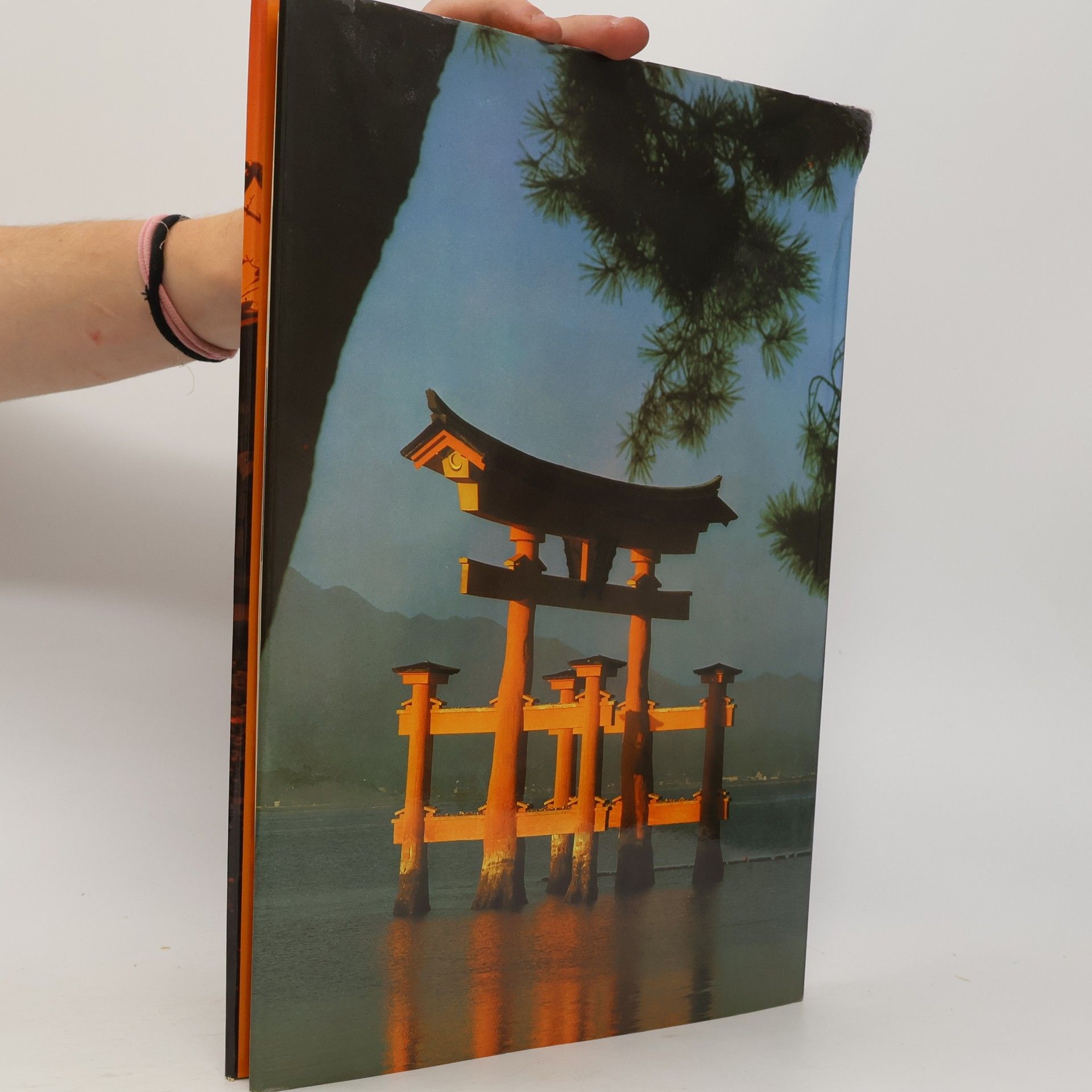 Henri Stierlin Die Welt Japans
