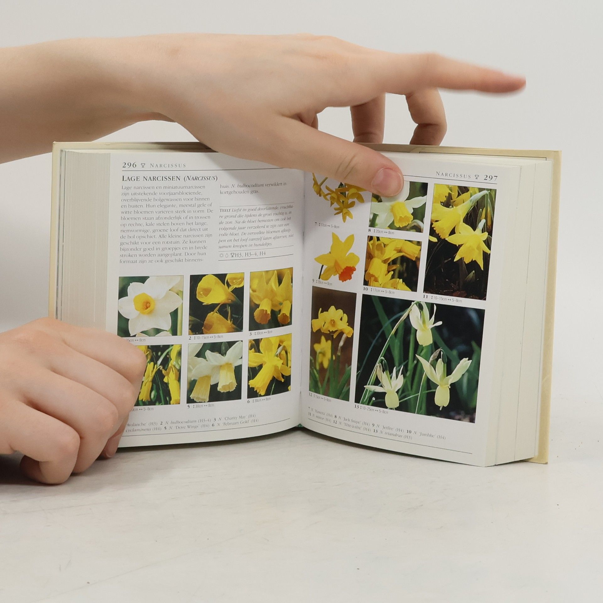 Titia van Schaik Terra's Gids voor de Beste Tuinplanten