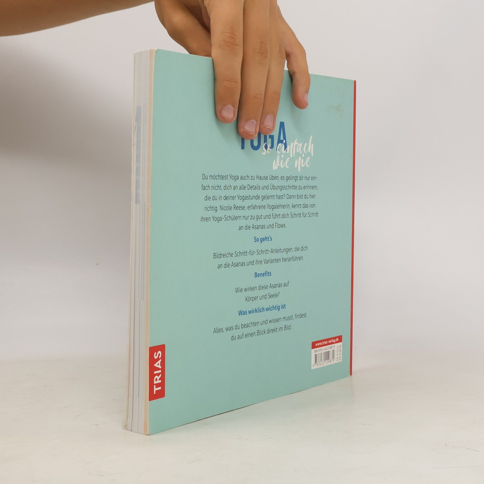 Nicole Reese Das einfachste Yoga-Buch aller Zeiten