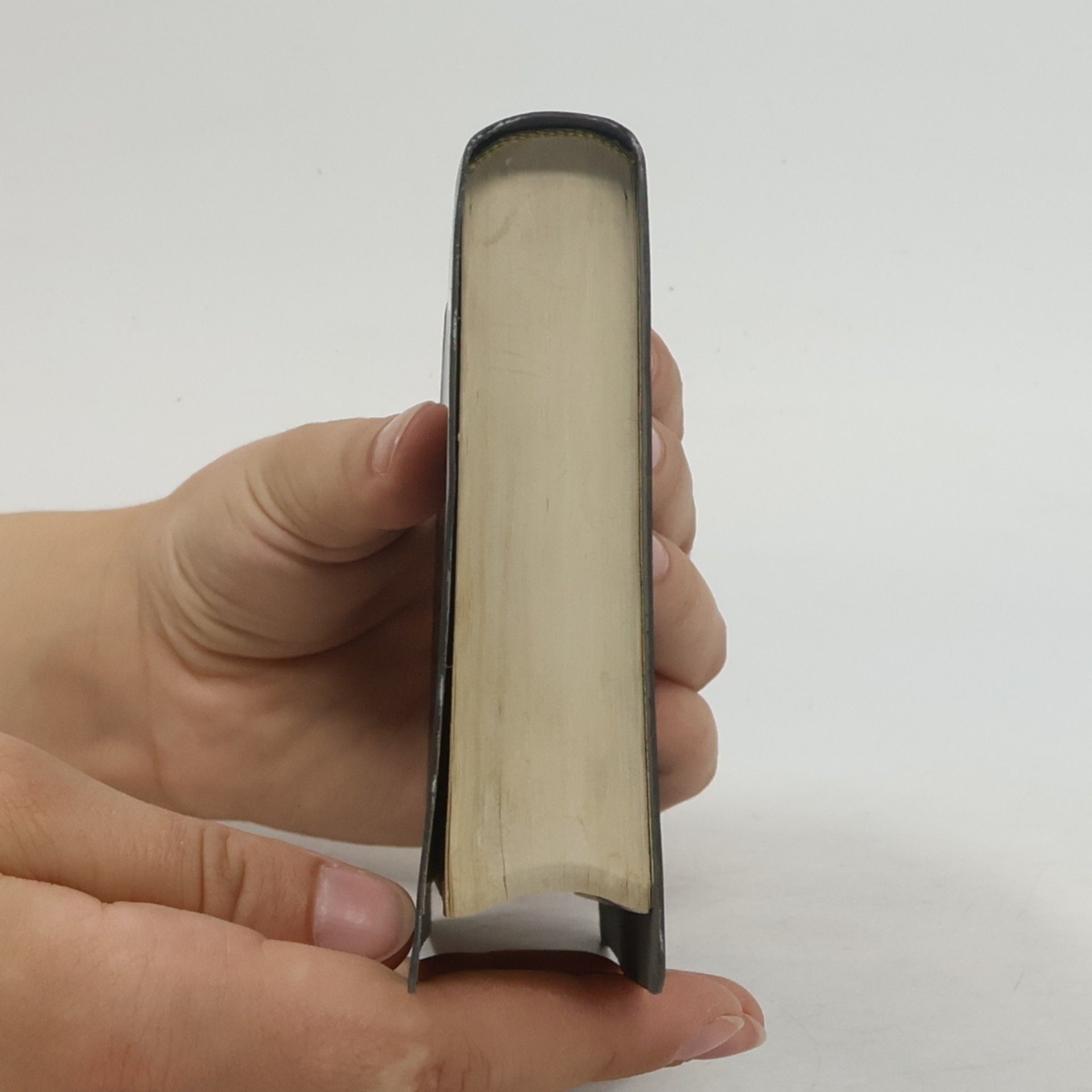 Various authors Bible svatá aneb všecka svatá písma Starého i Nového zákona