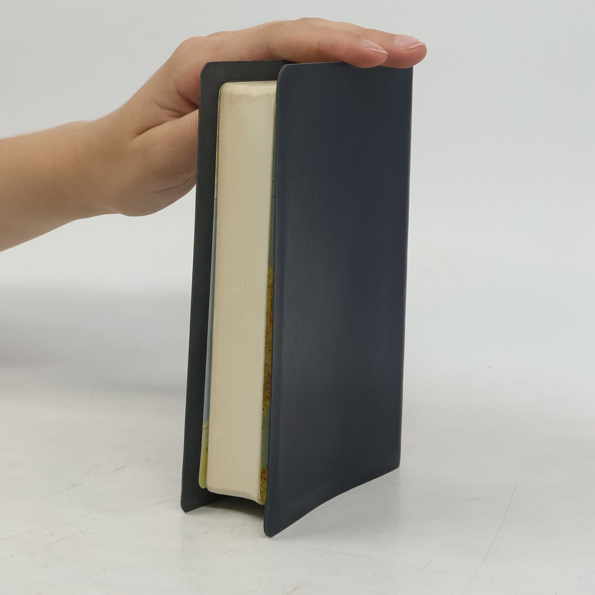 Various authors Bible svatá aneb všecka svatá písma Starého i Nového zákona
