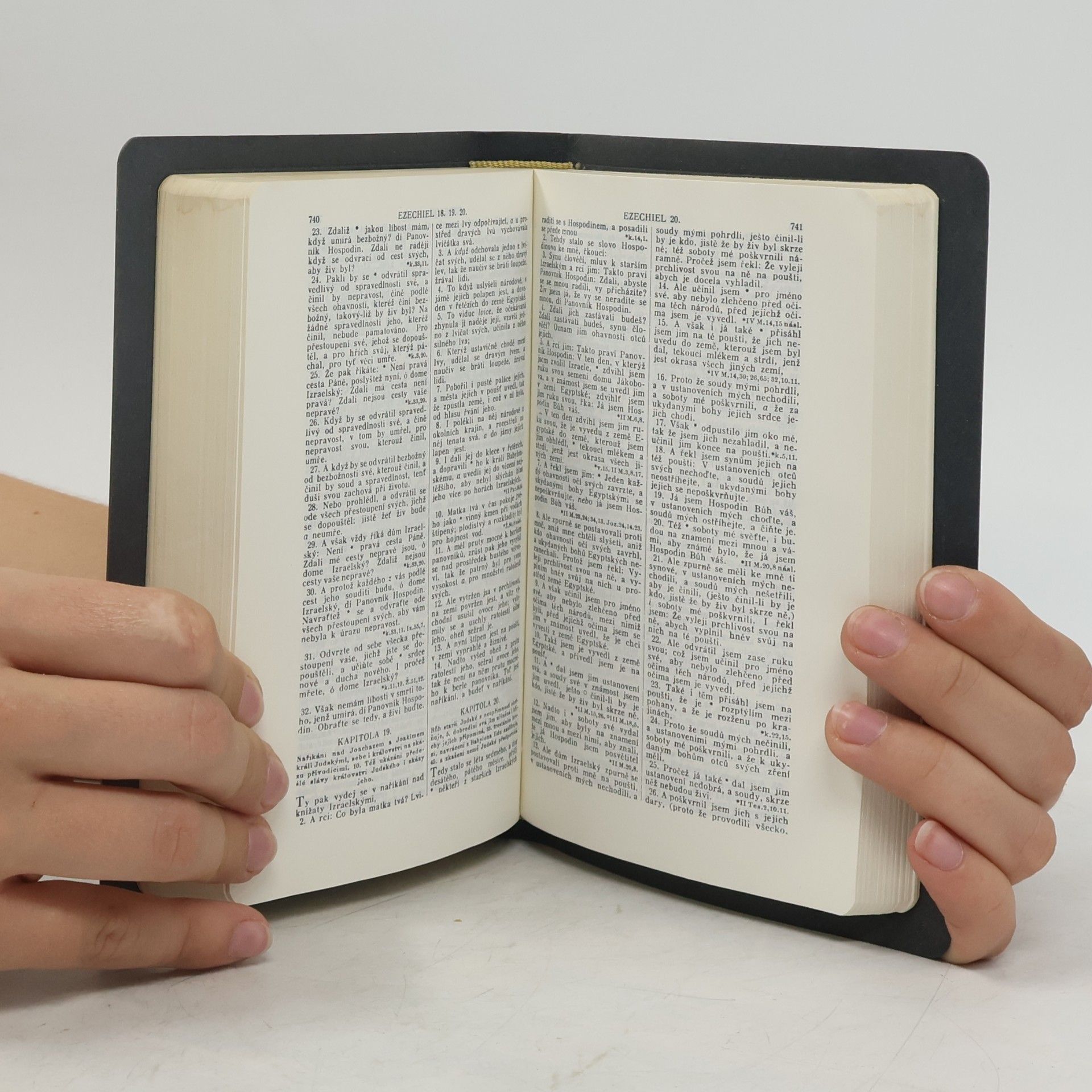 Various authors Bible svatá aneb všecka svatá písma Starého i Nového zákona