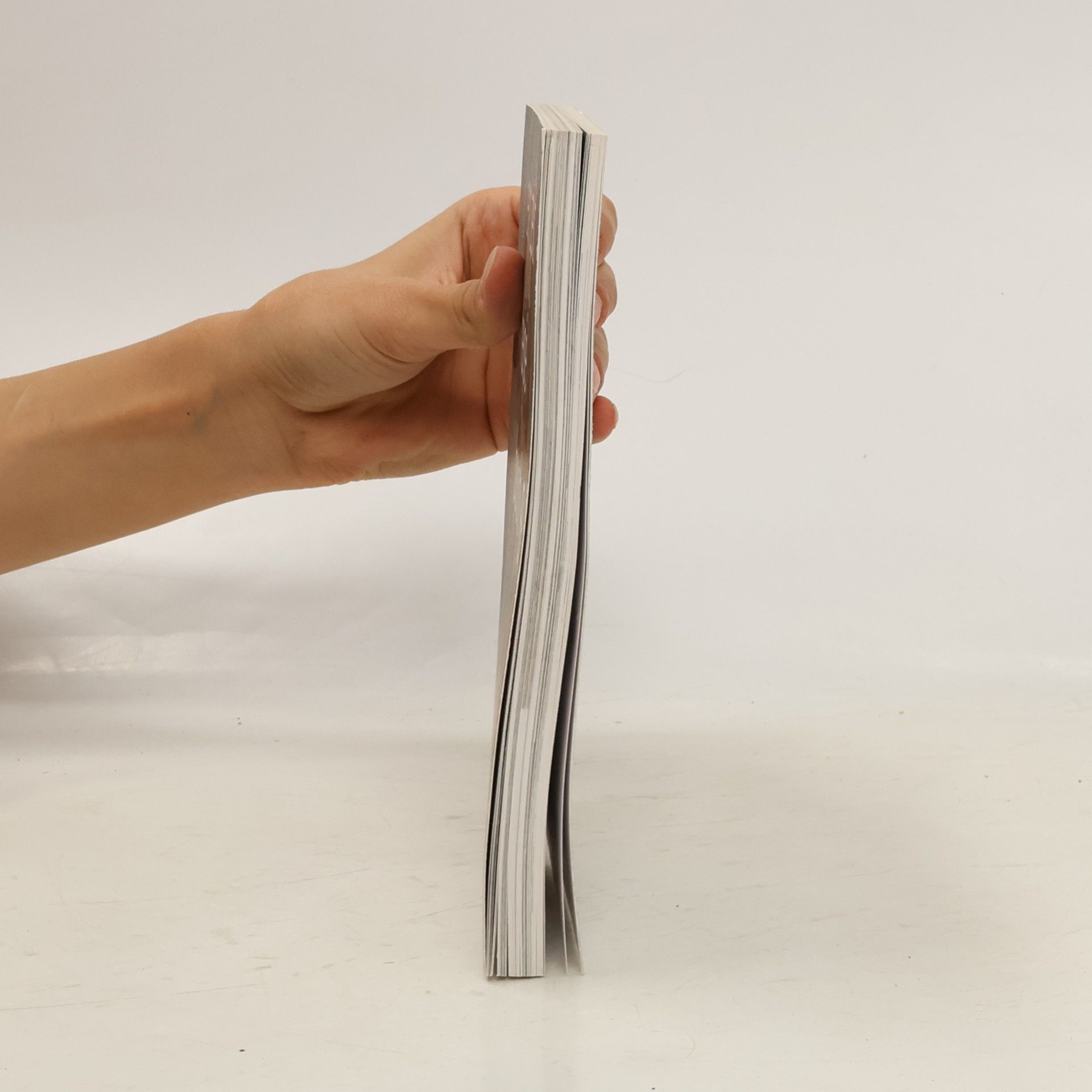 Gerda Rogers Ein Zeitreisebuch
