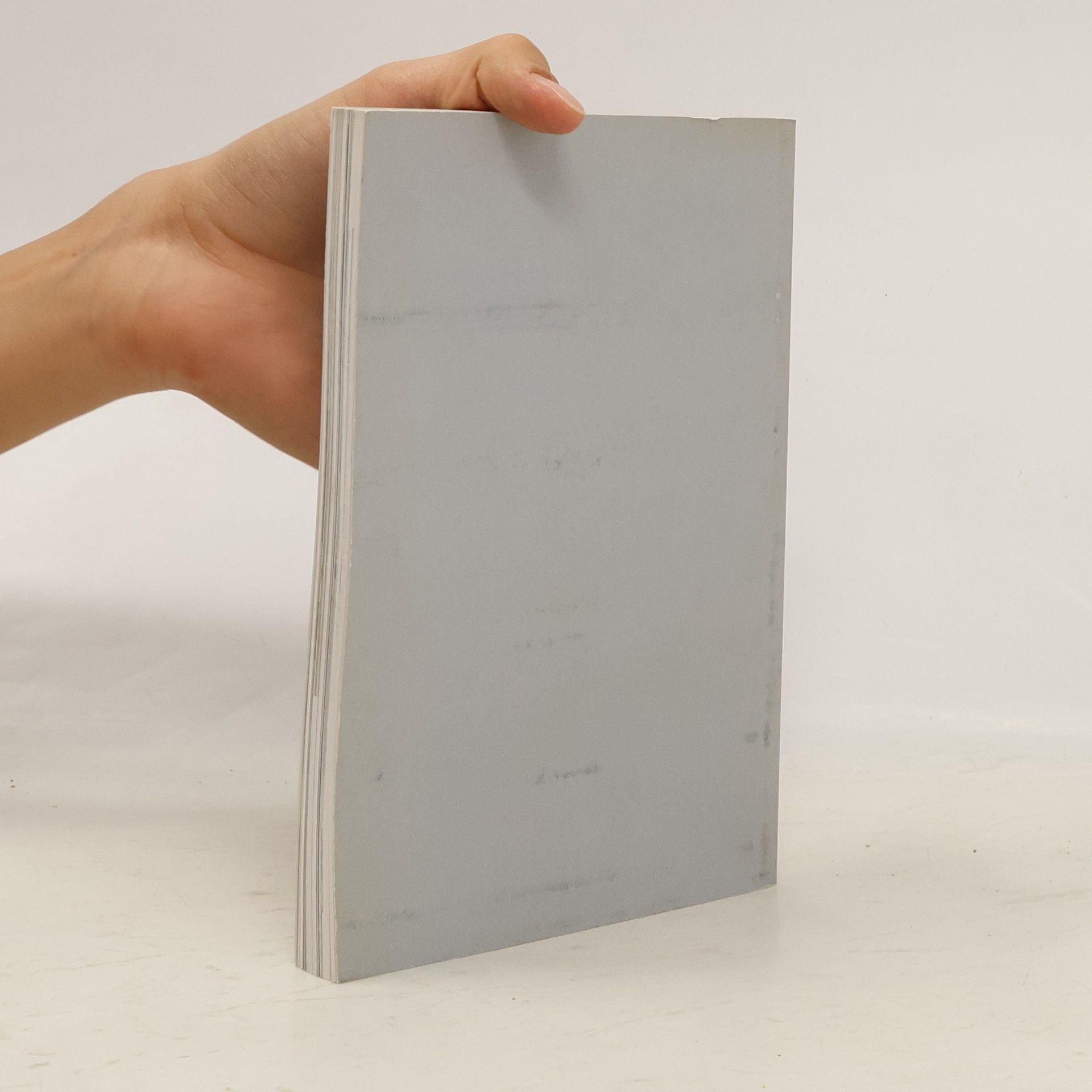 Gerda Rogers Ein Zeitreisebuch