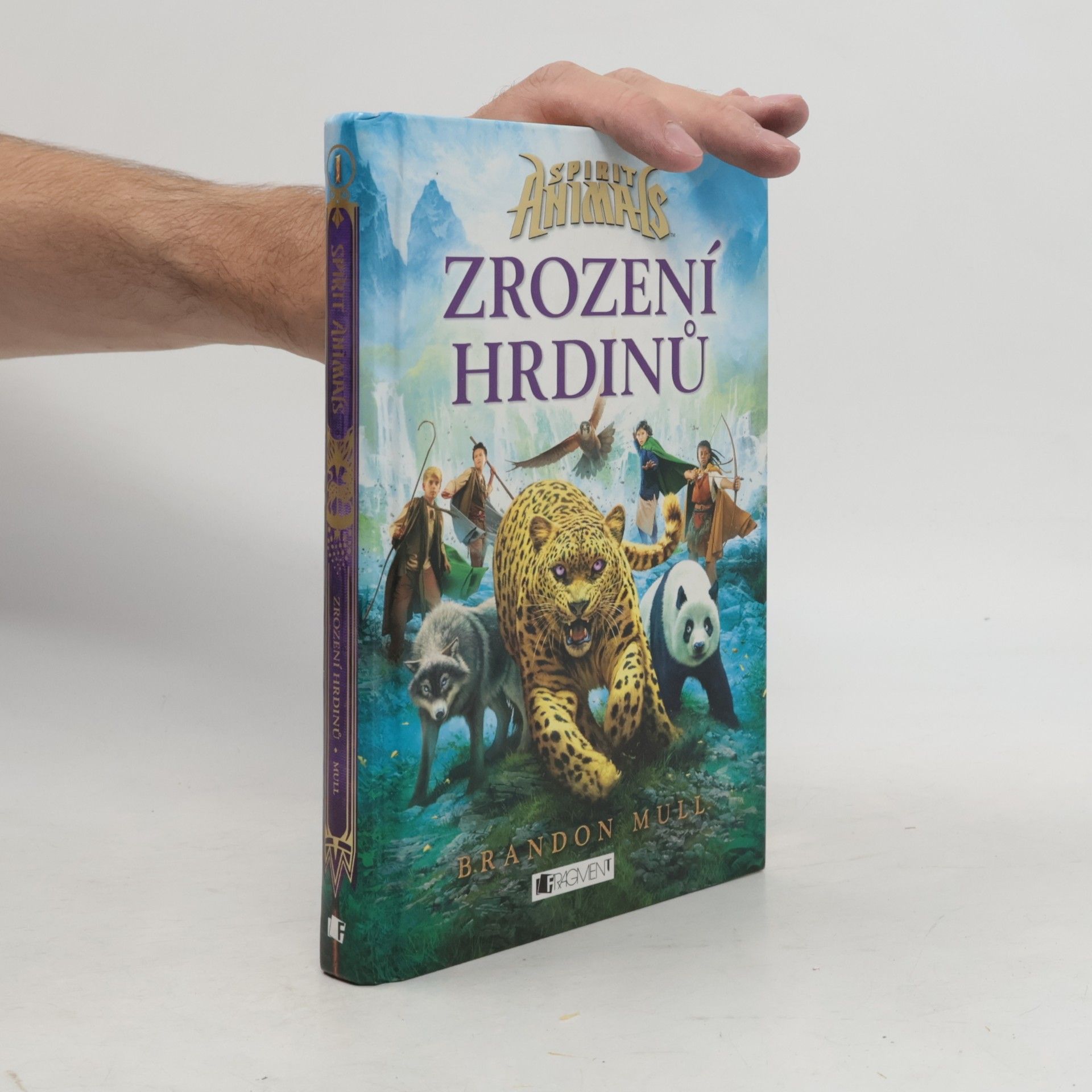 Brandon Mull Zrození hrdinů
