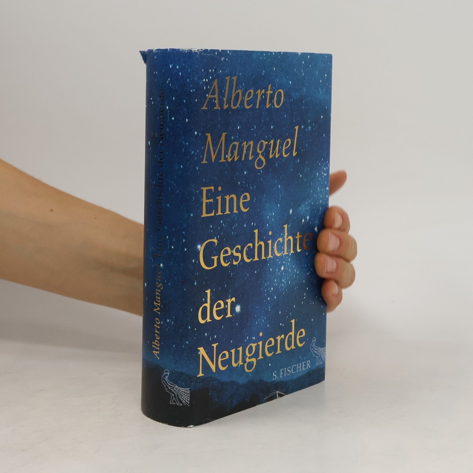 Alberto Manguel Eine Geschichte der Neugierde