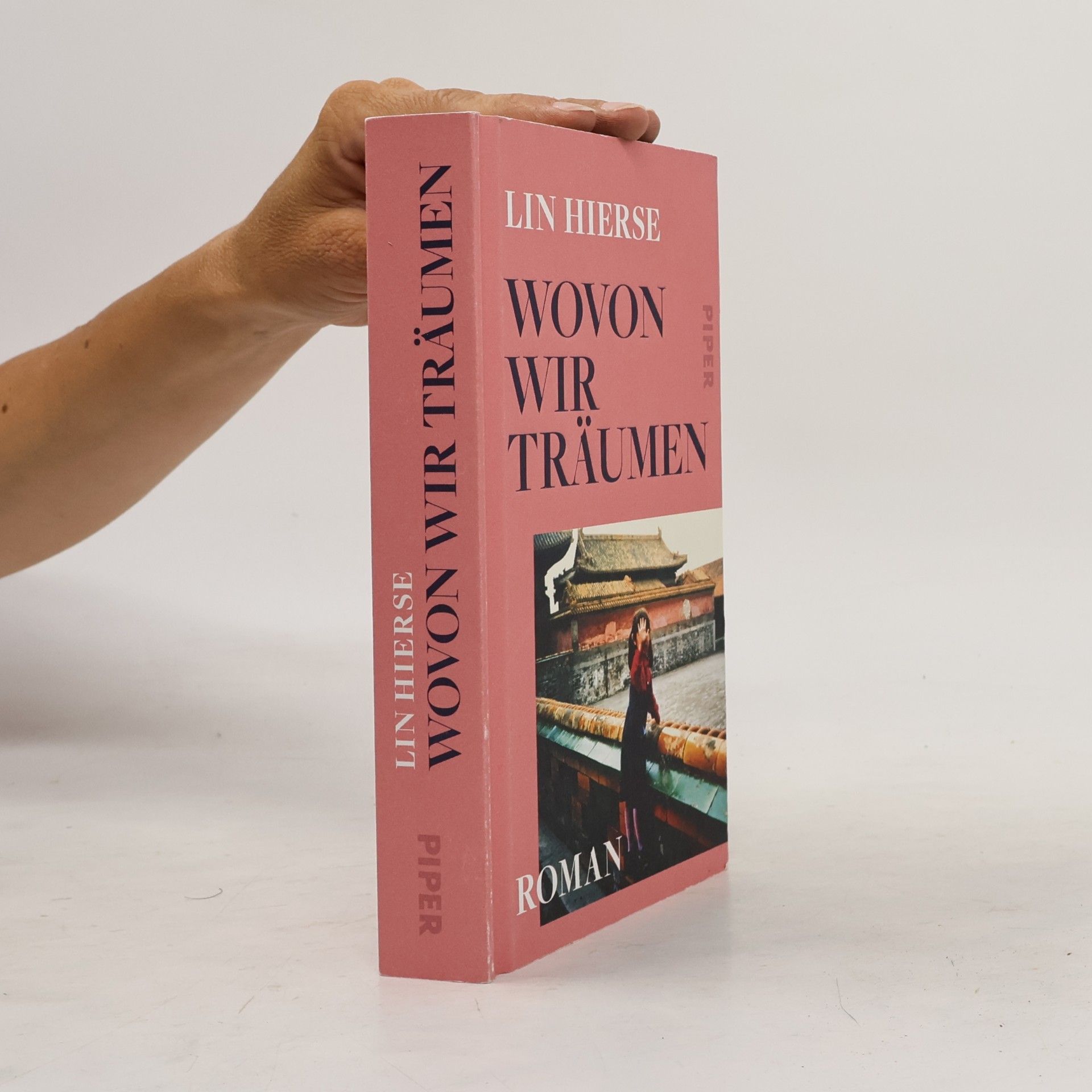 Lin Hierse Wovon wir träumen