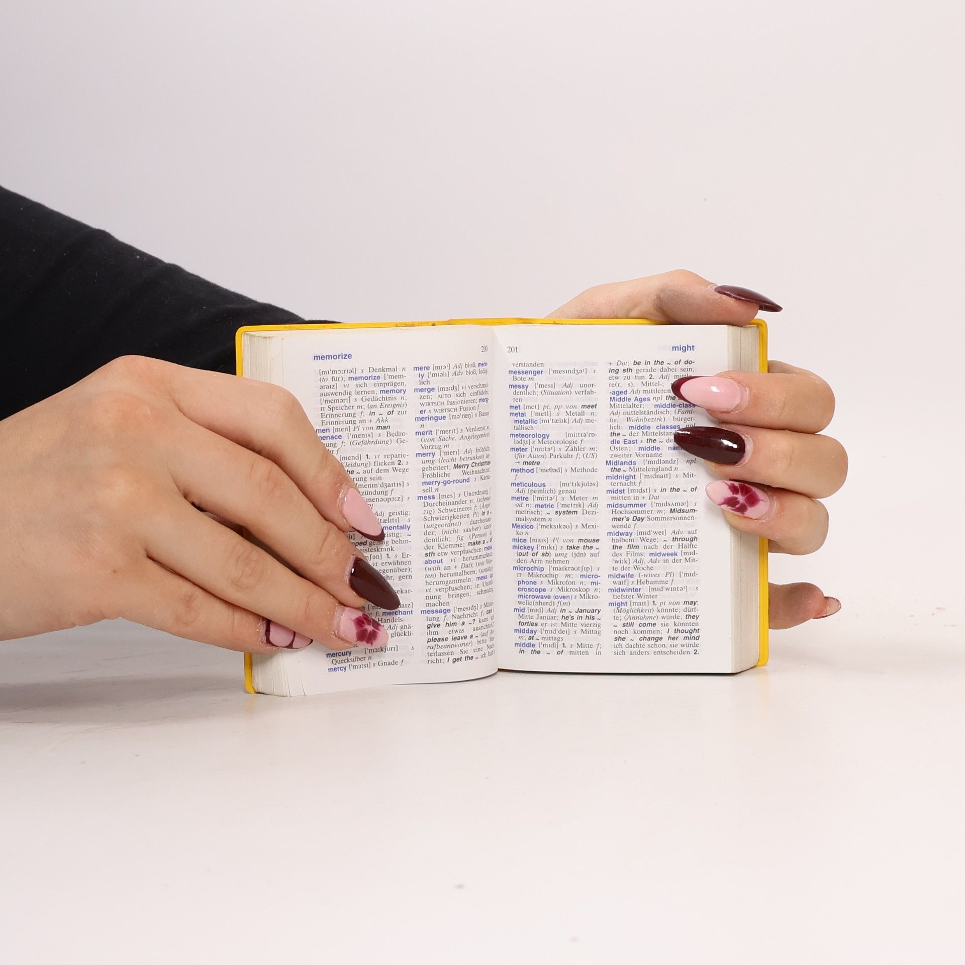 Heike Pleisteiner Langenscheidt, Universal-Wörterbuch Englisch