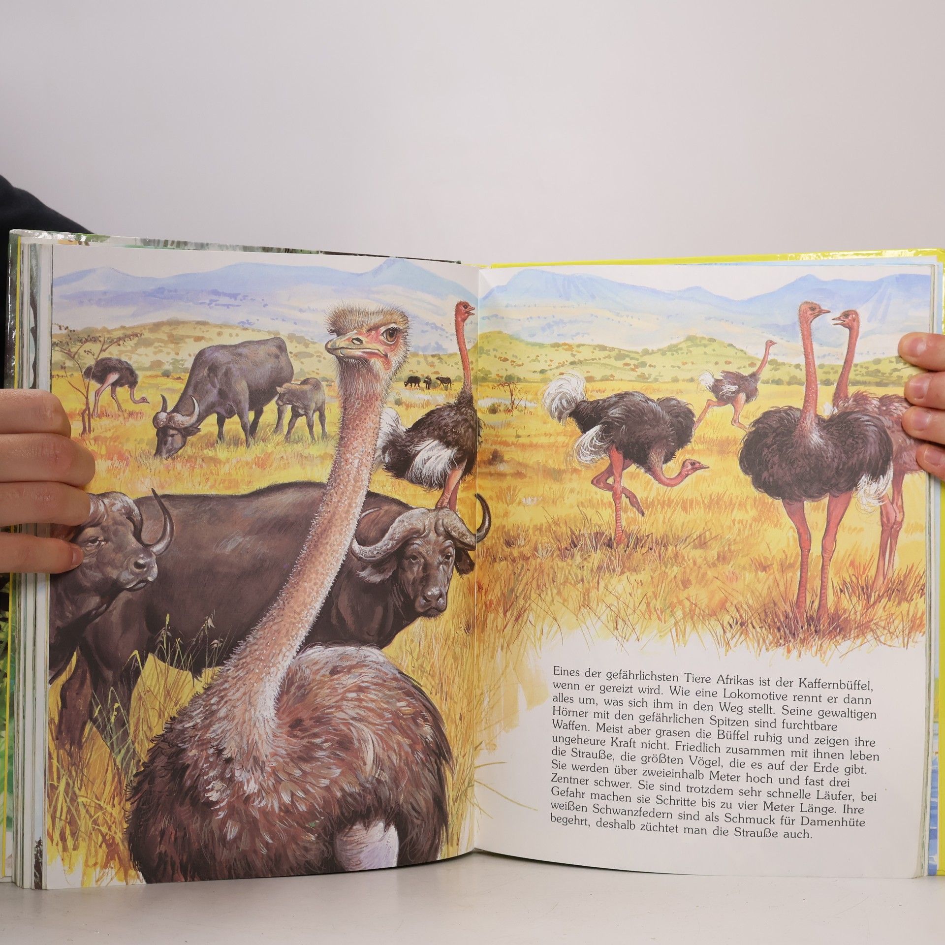 Autorenkollektiv Tiere aus aller Welt