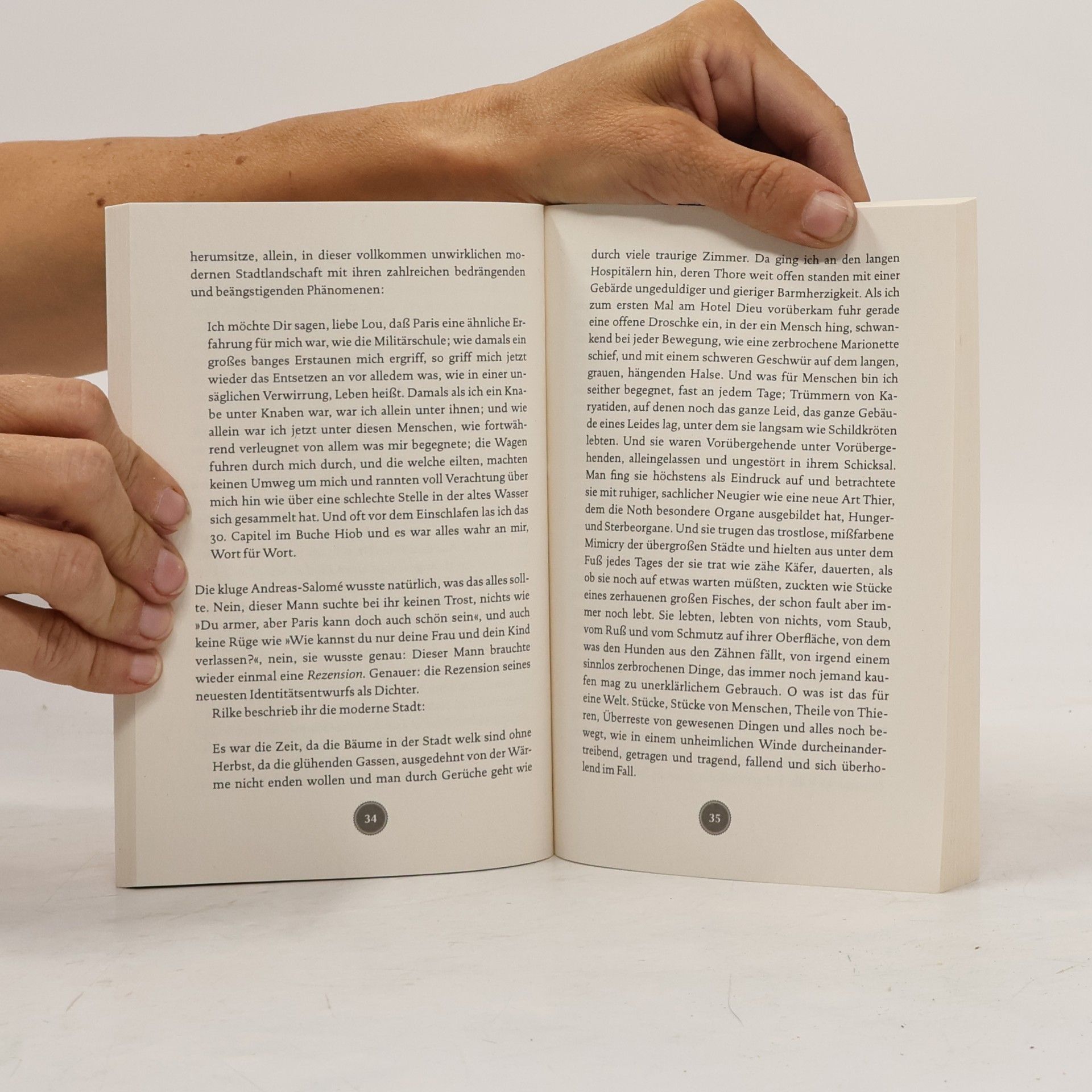 Clemens J. Setz Rainer Maria Rilke. 100 Seiten