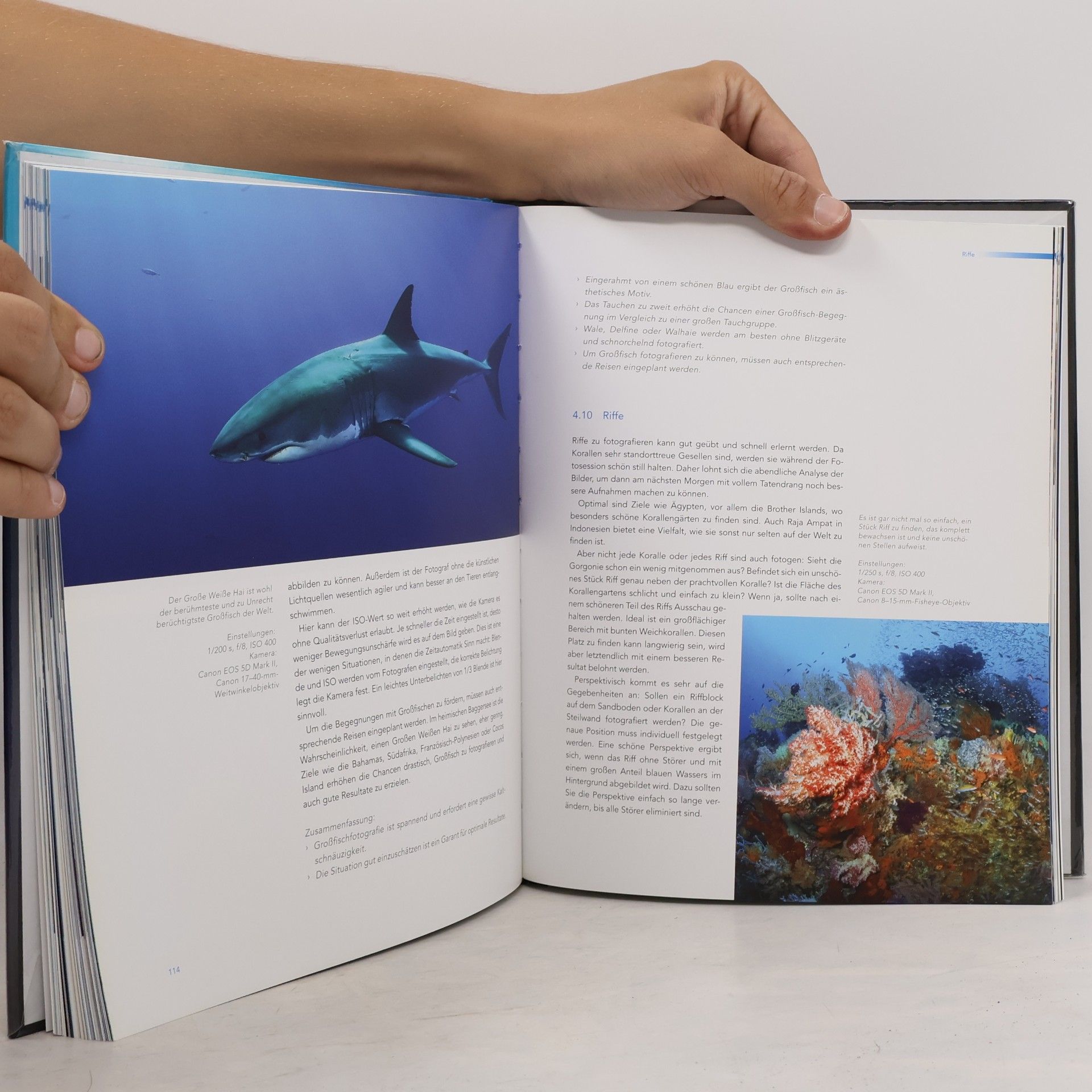 Tobias Friedrich Die Kunst der Unterwasserfotografie