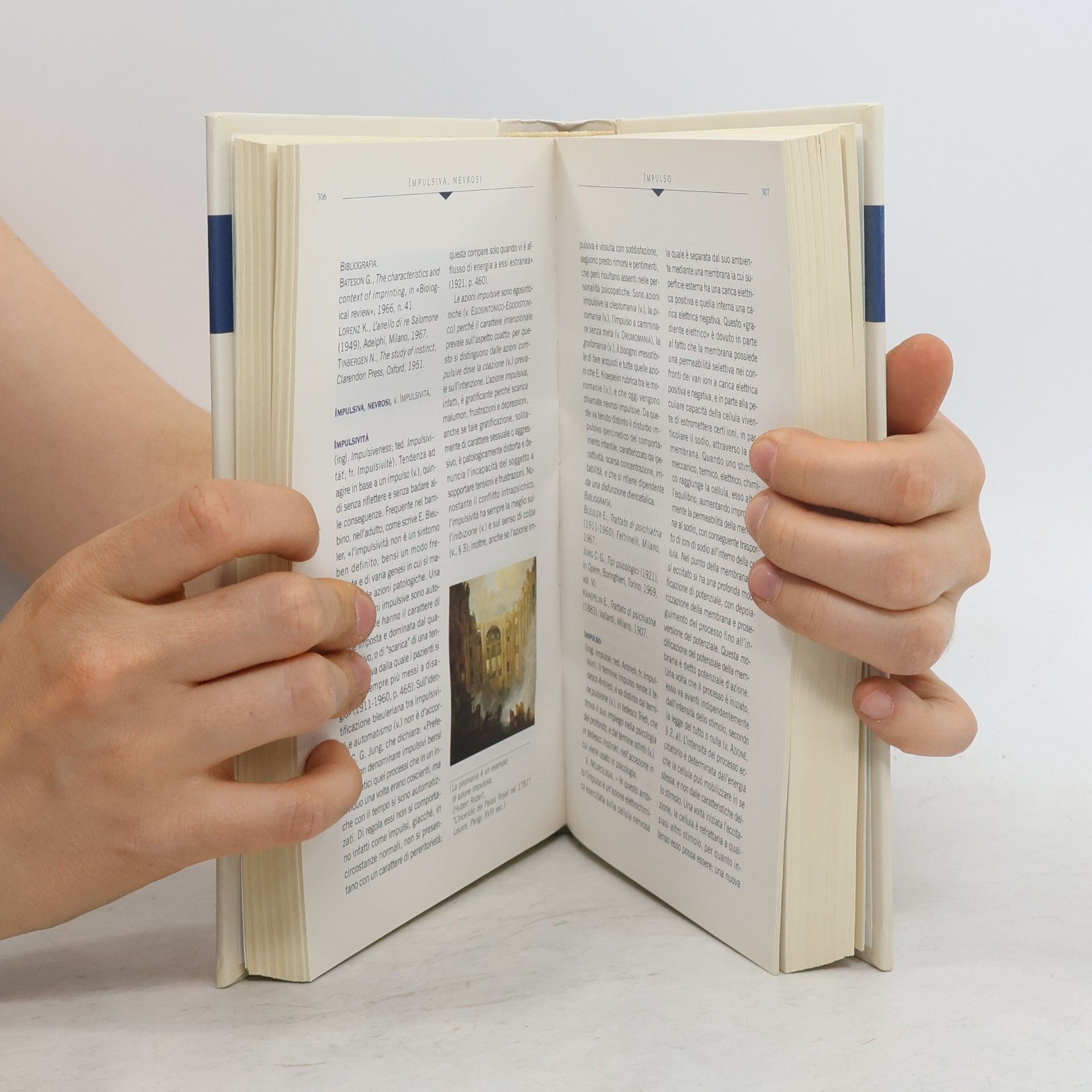 Umberto Galimberti Dizionario di psicologia  2
