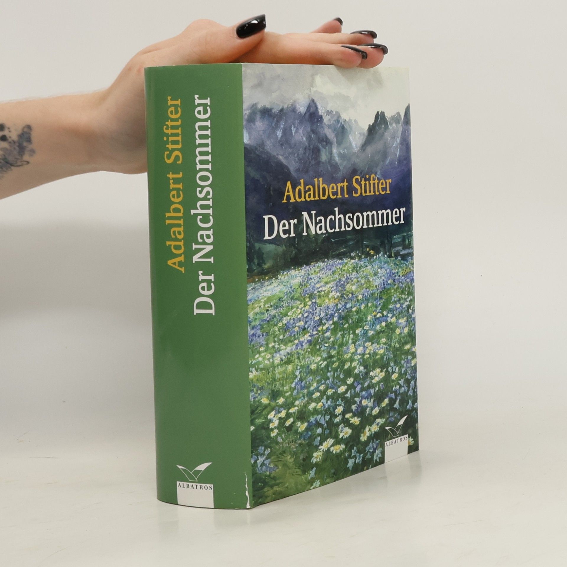 Adalbert Stifter Der Nachsommer