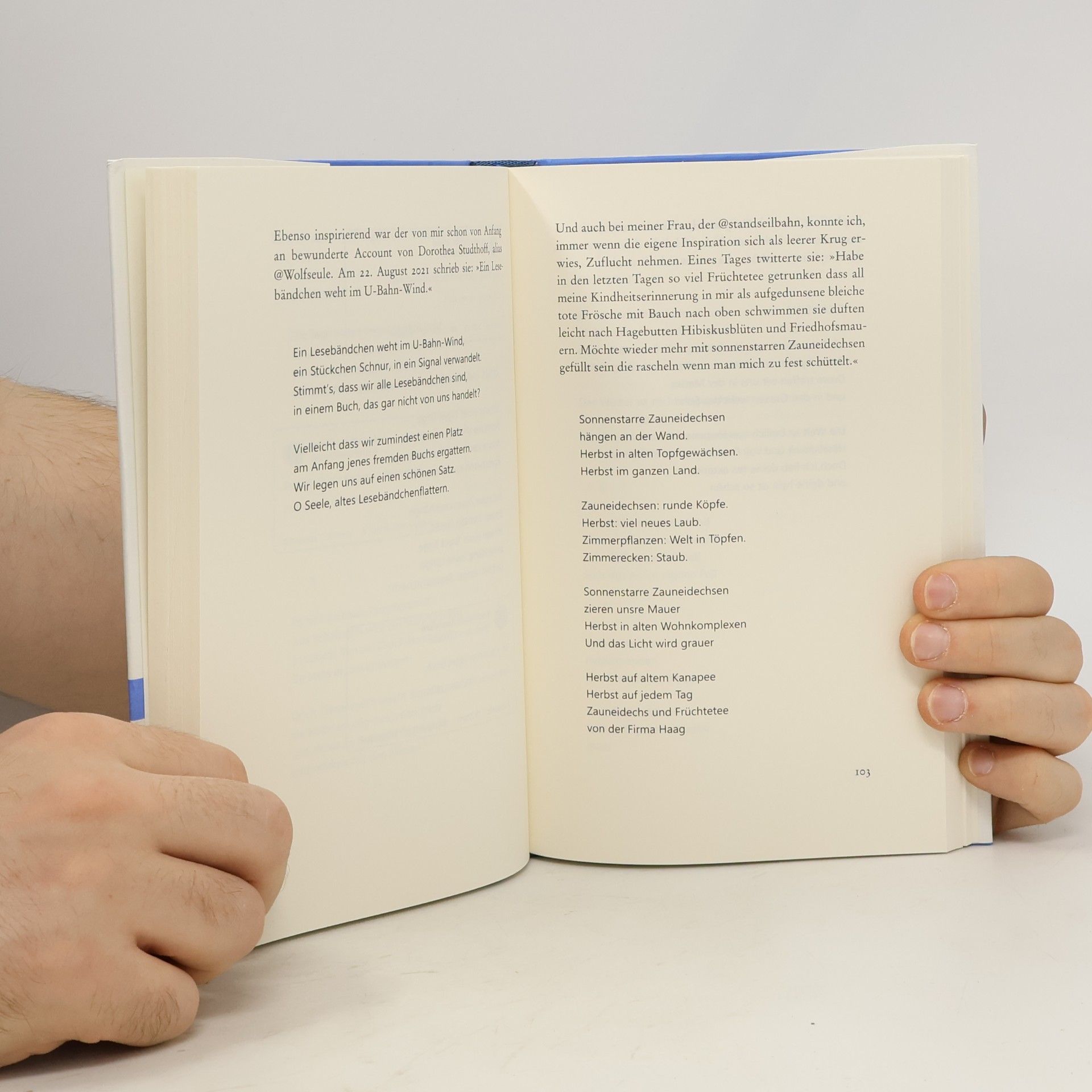 Clemens J. Setz Das All im eignen Fell