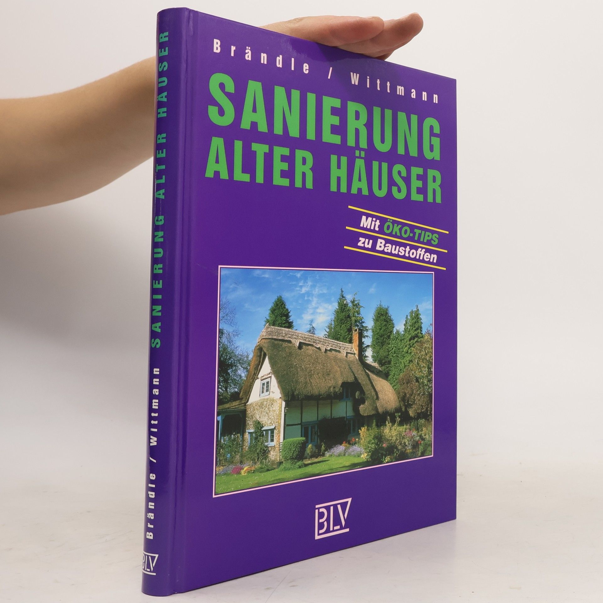 Evemarie Brändle Sanierung alter Häuser