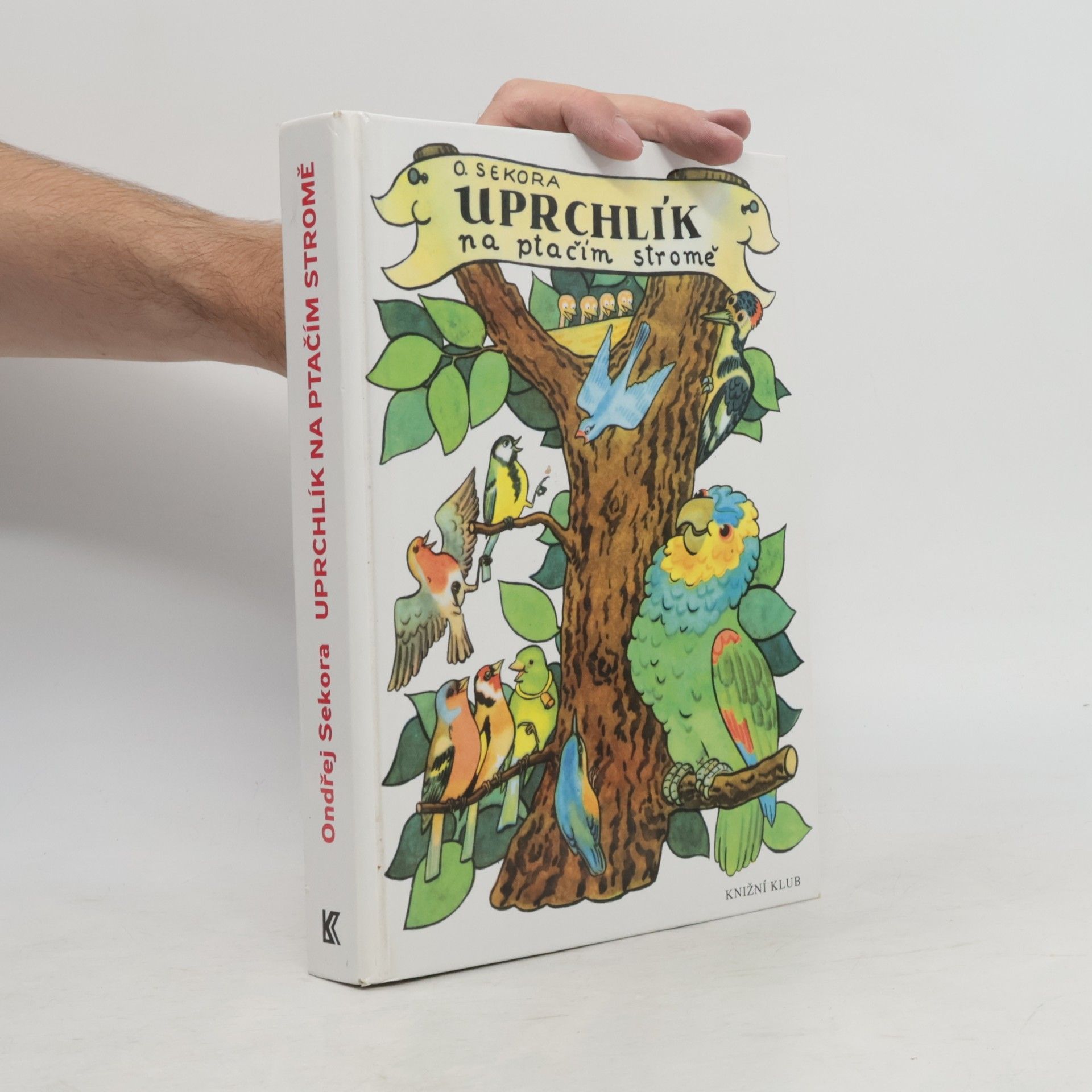 Ondřej Sekora Uprchlík na ptačím stromě