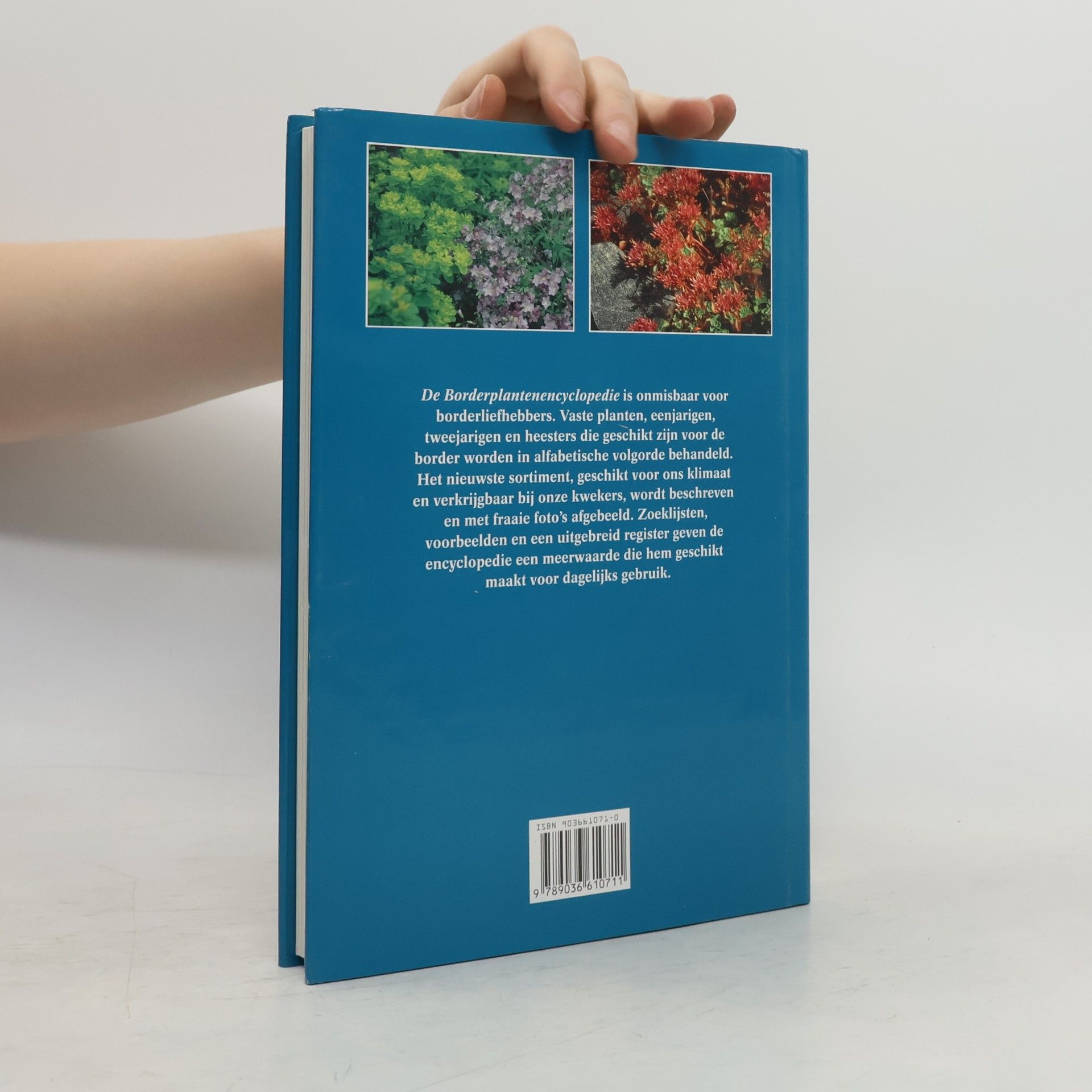 Hanneke van Dijk Geillustreerde borderplanten encyclopedie