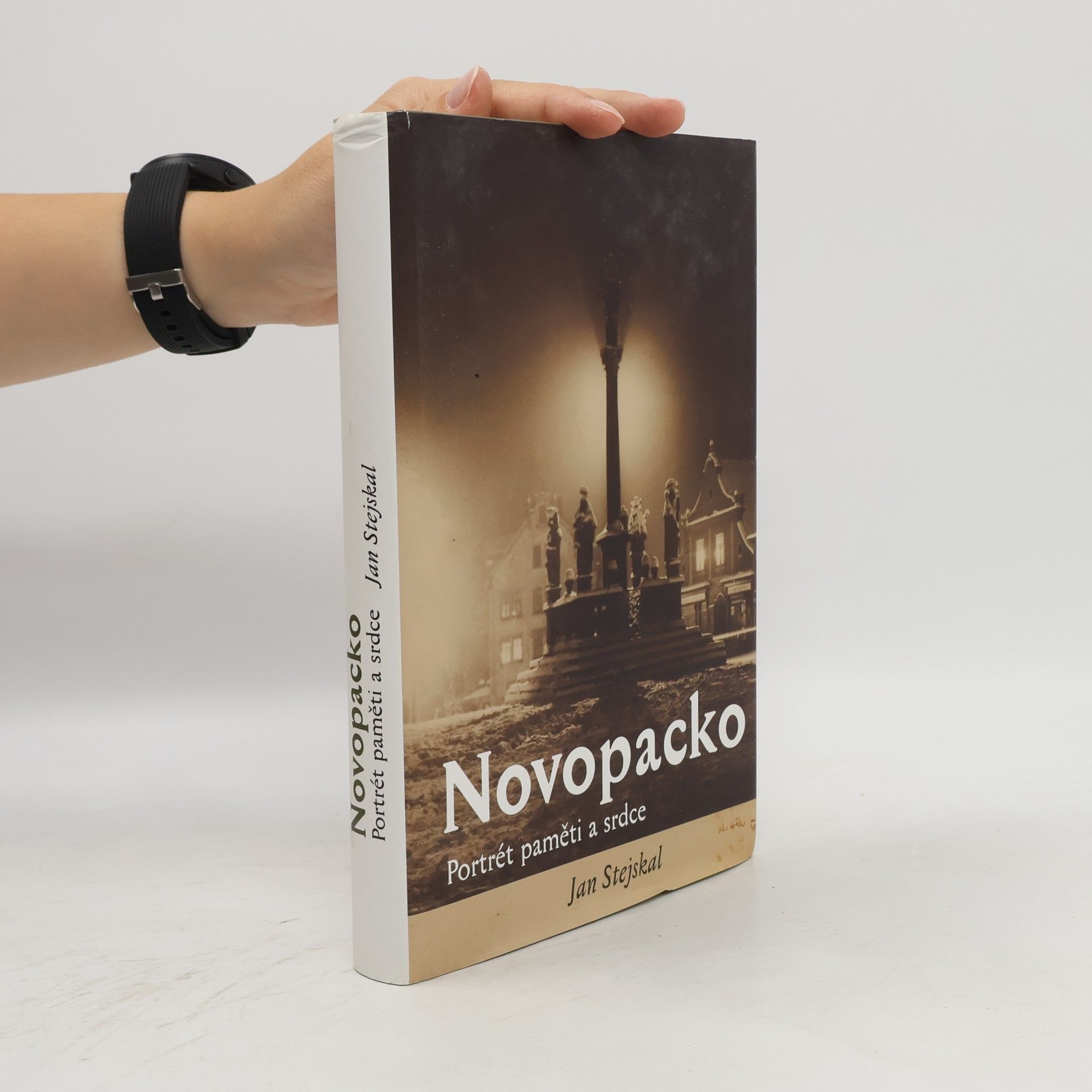 Jan Stejskal Novopacko: Portrét paměti a srdce