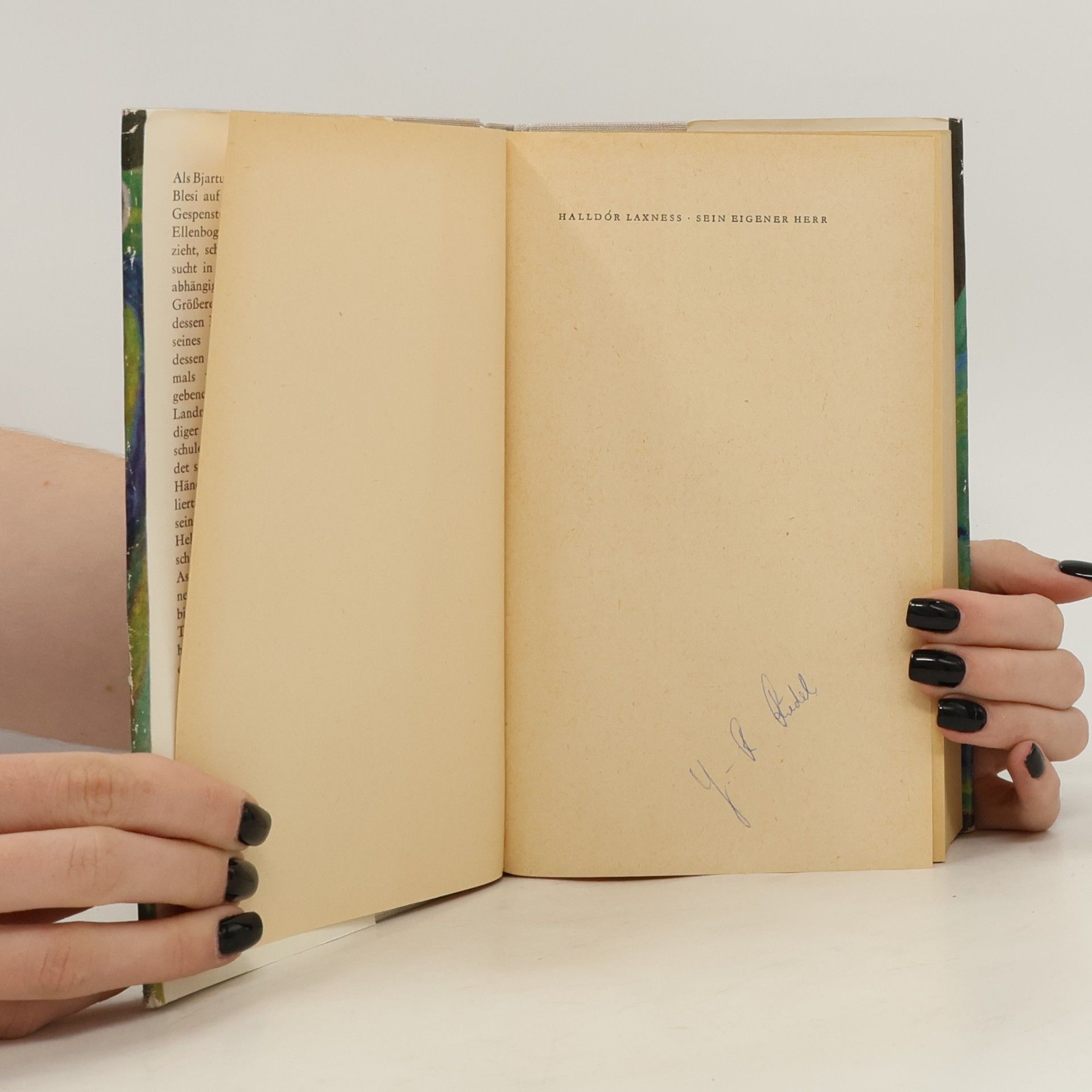 Halldór Laxness Sein eigener Herr