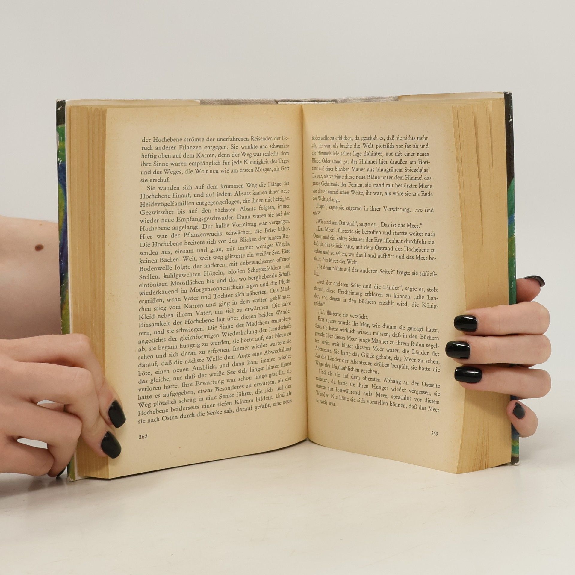 Halldór Laxness Sein eigener Herr