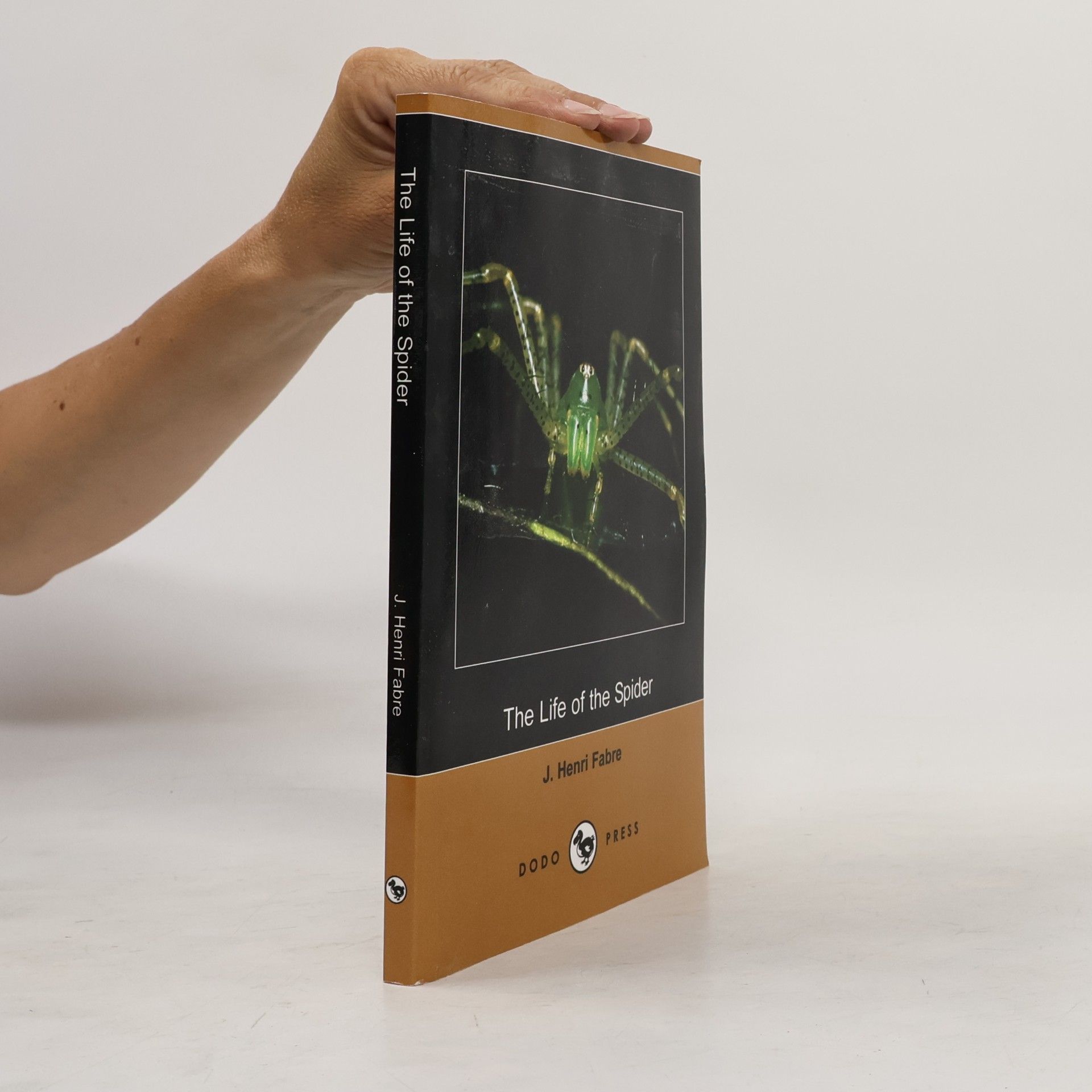 Jean-Henri Fabre The Life of the Spider