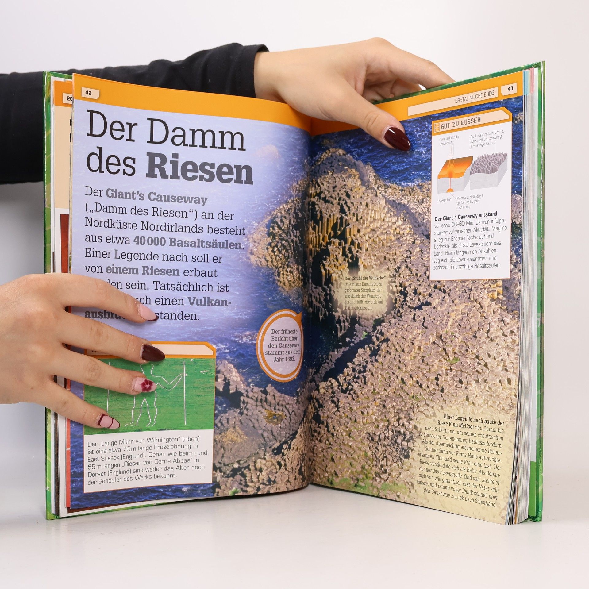 Andrea Mills Total verrückt!