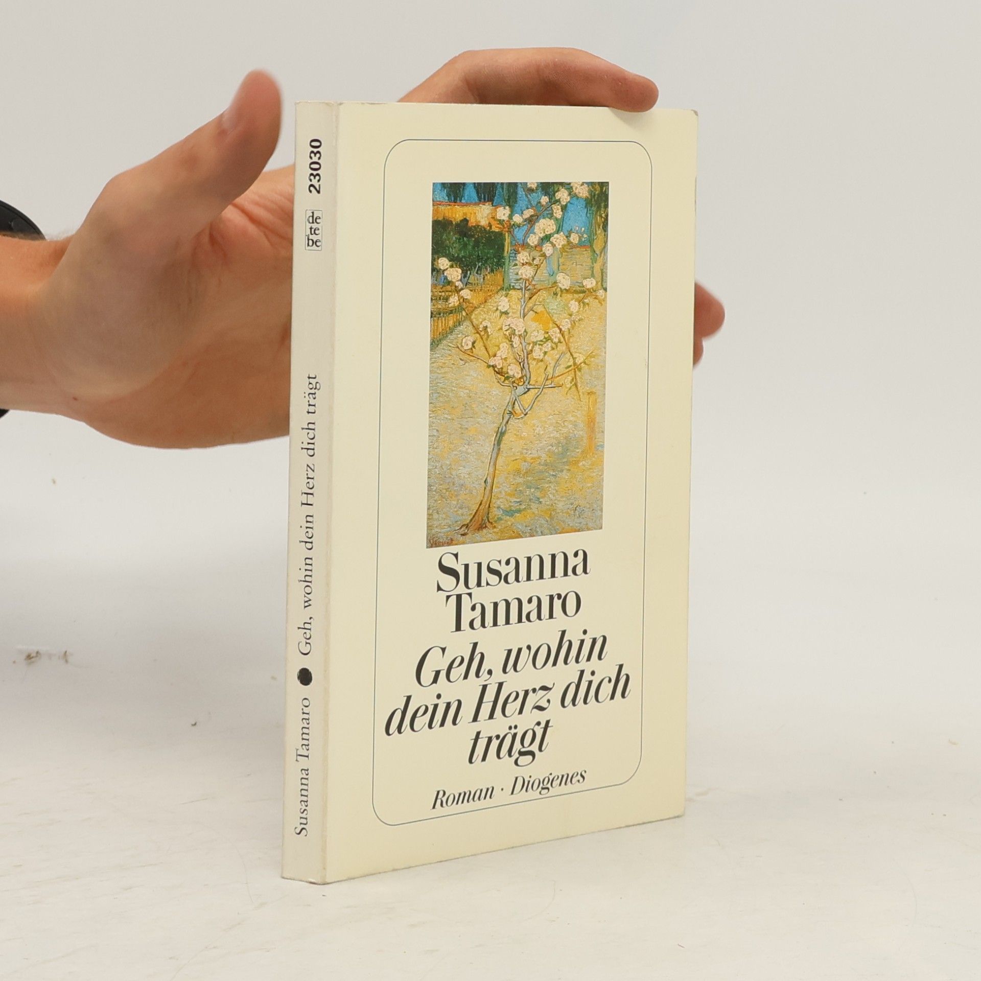 Susanna Tamaro Geh, wohin dein Herz dich trägt