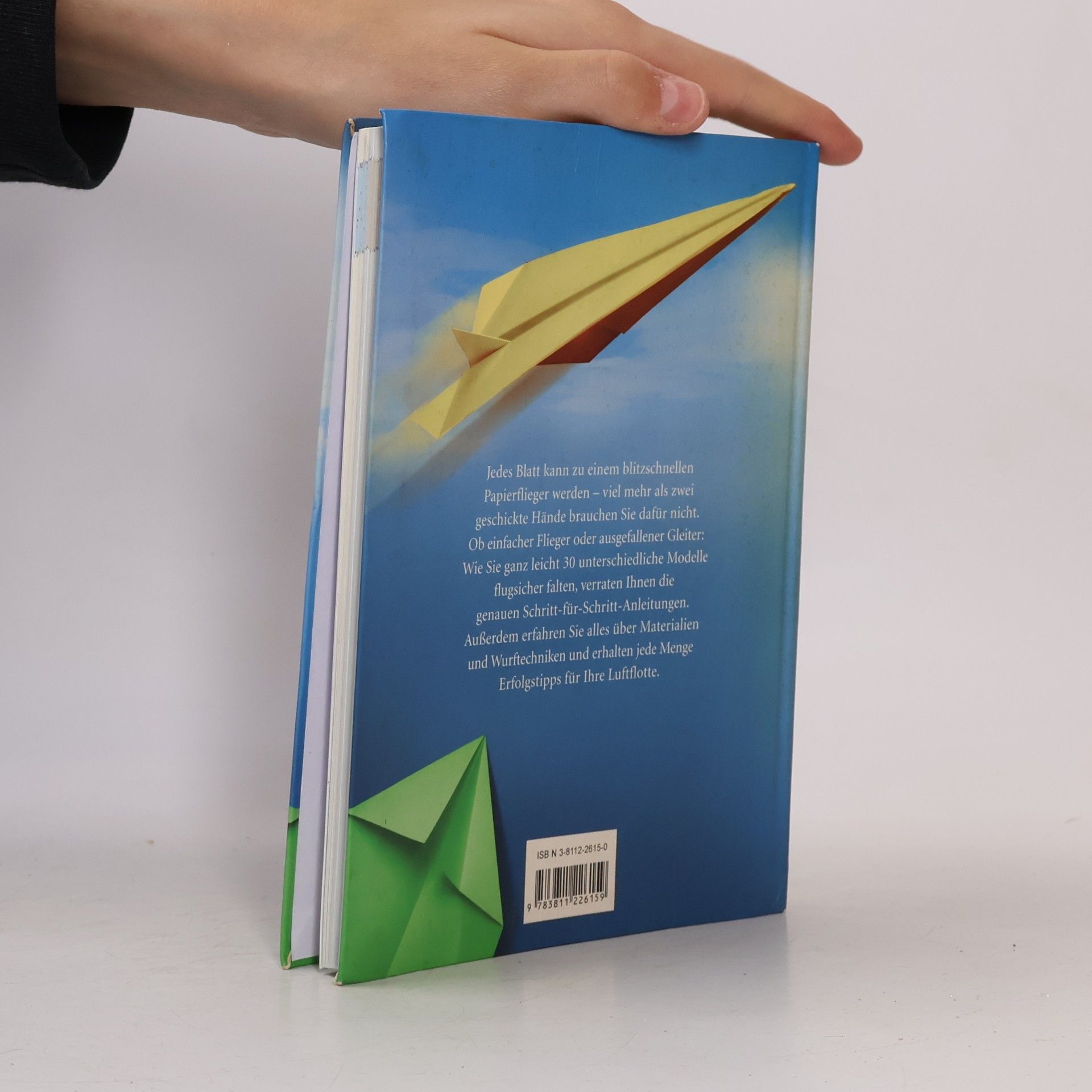 Rene Lucio Blitzschnelle Papierflieger