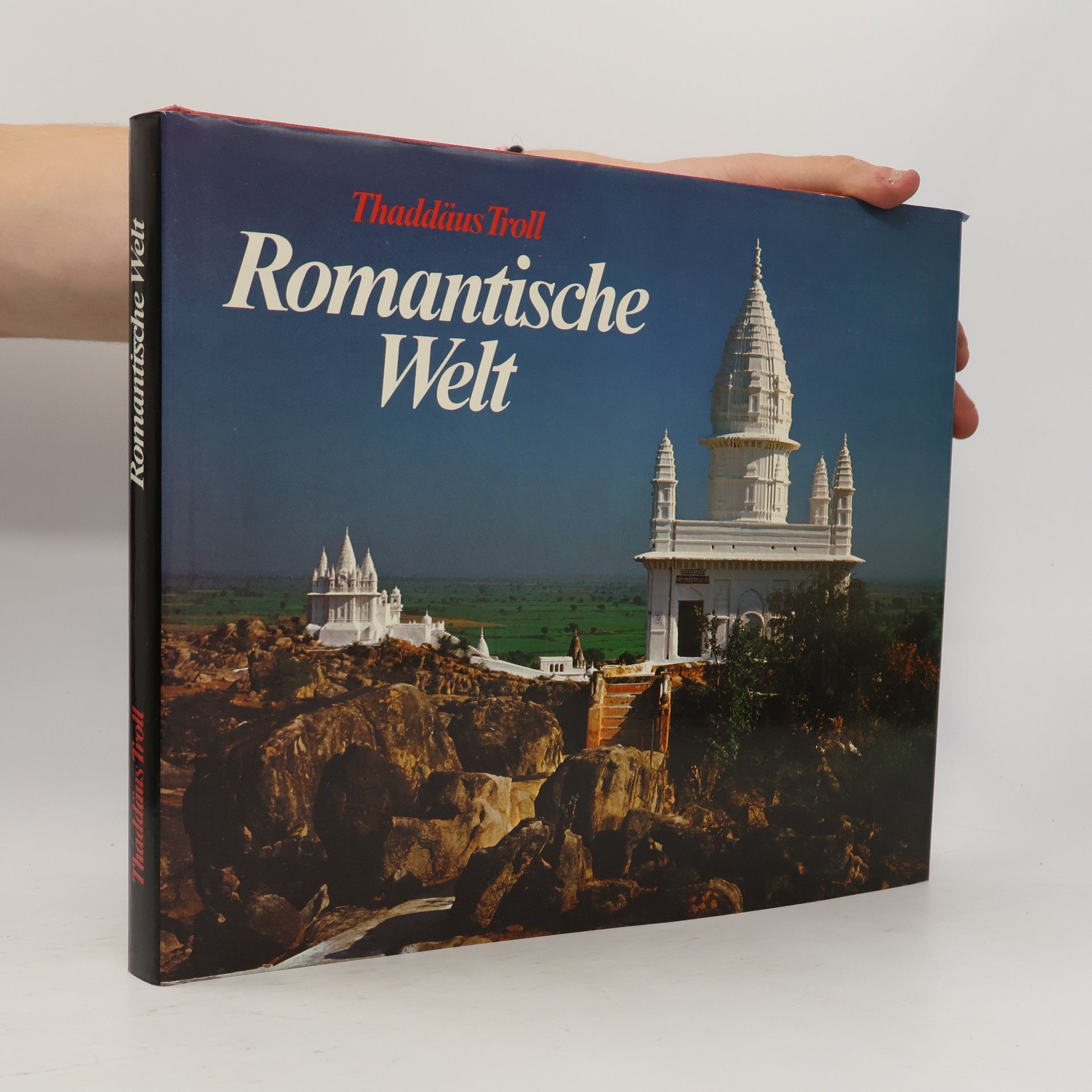 Romantische Welt