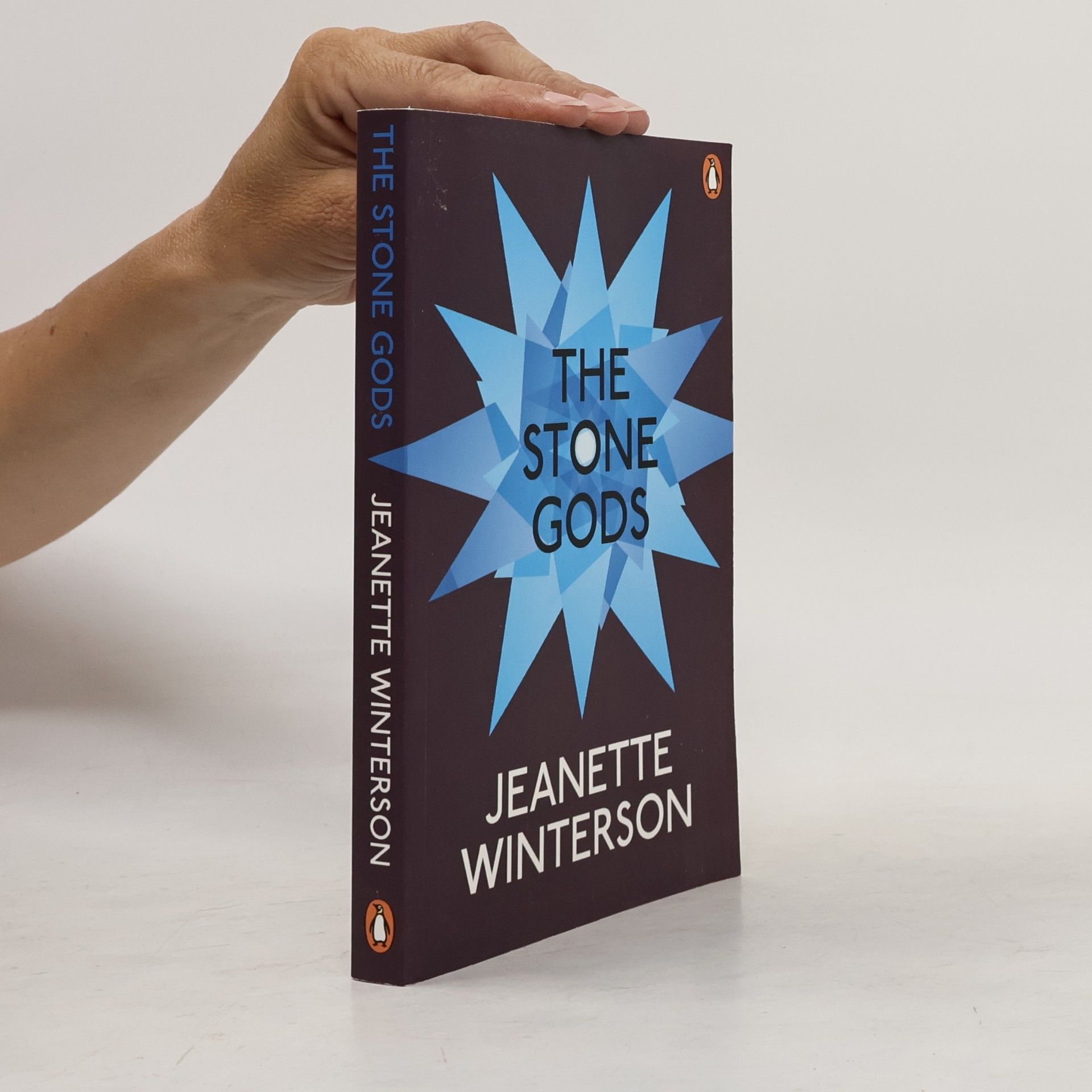 Jeanette Winterson The Stone Gods. Die steinernen Götter