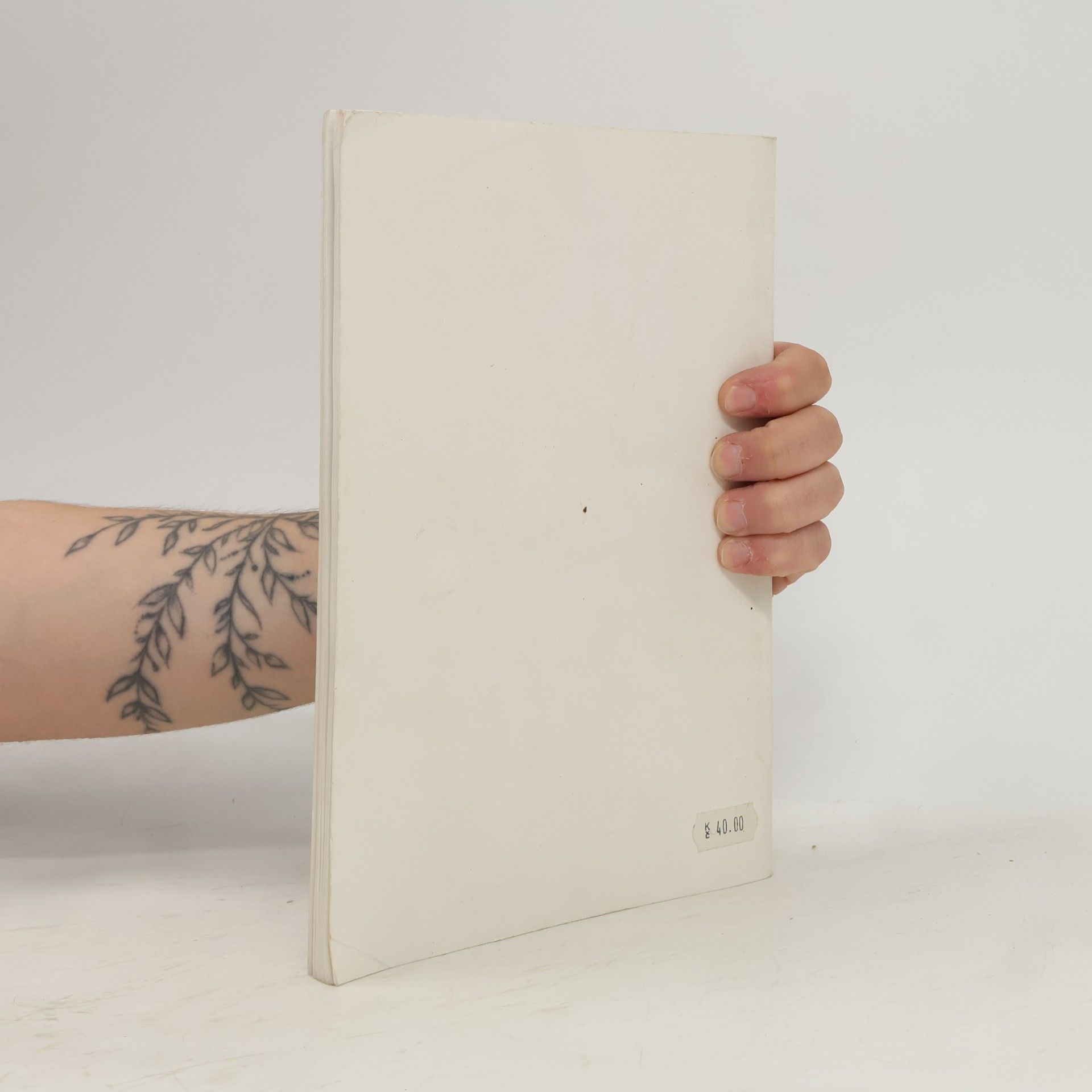 Collectif d'auteurs Začínáme s němčinou