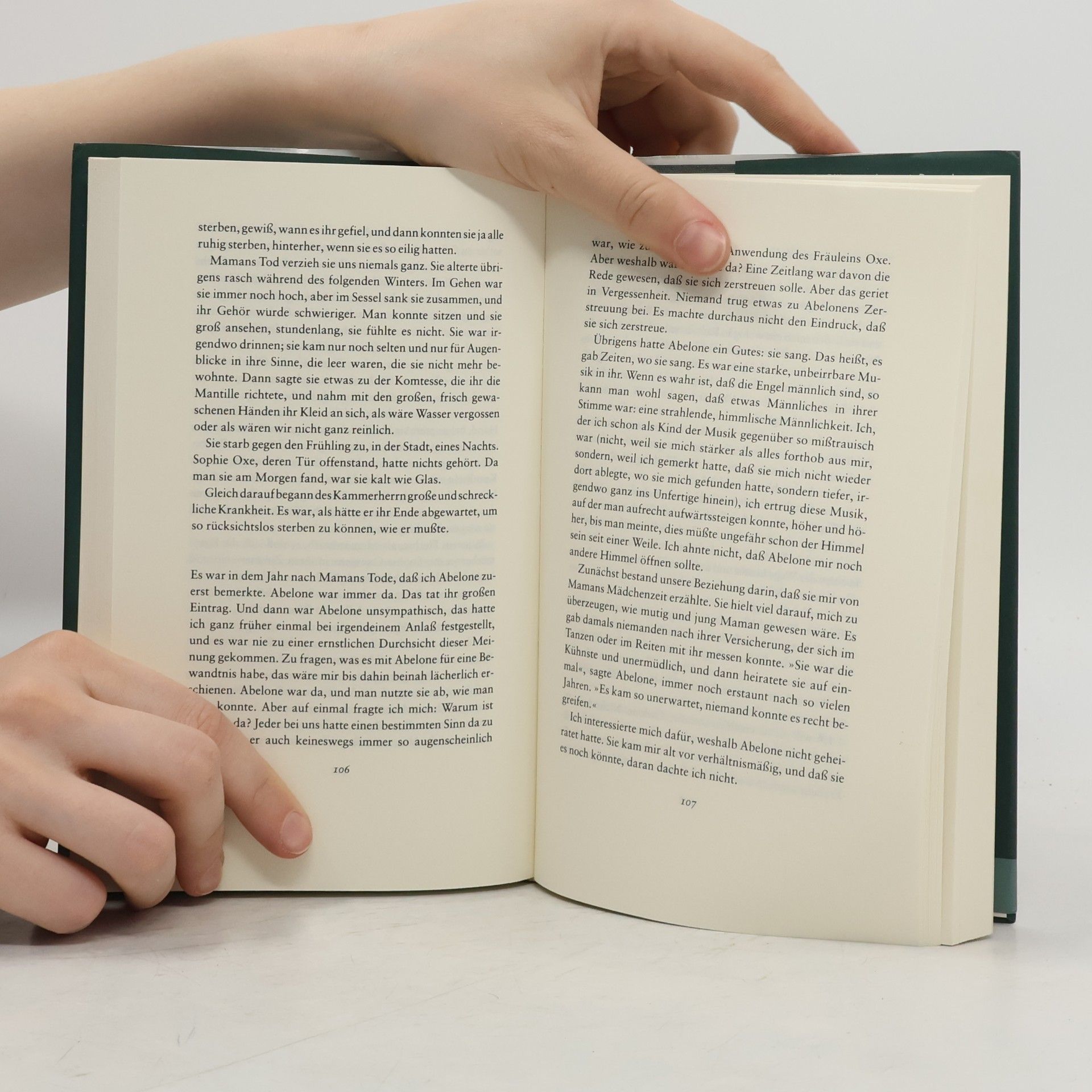 Rainer Maria Rilke Sammlung Fischer: Die Aufzeichnungen des Malte Laurids Brigge