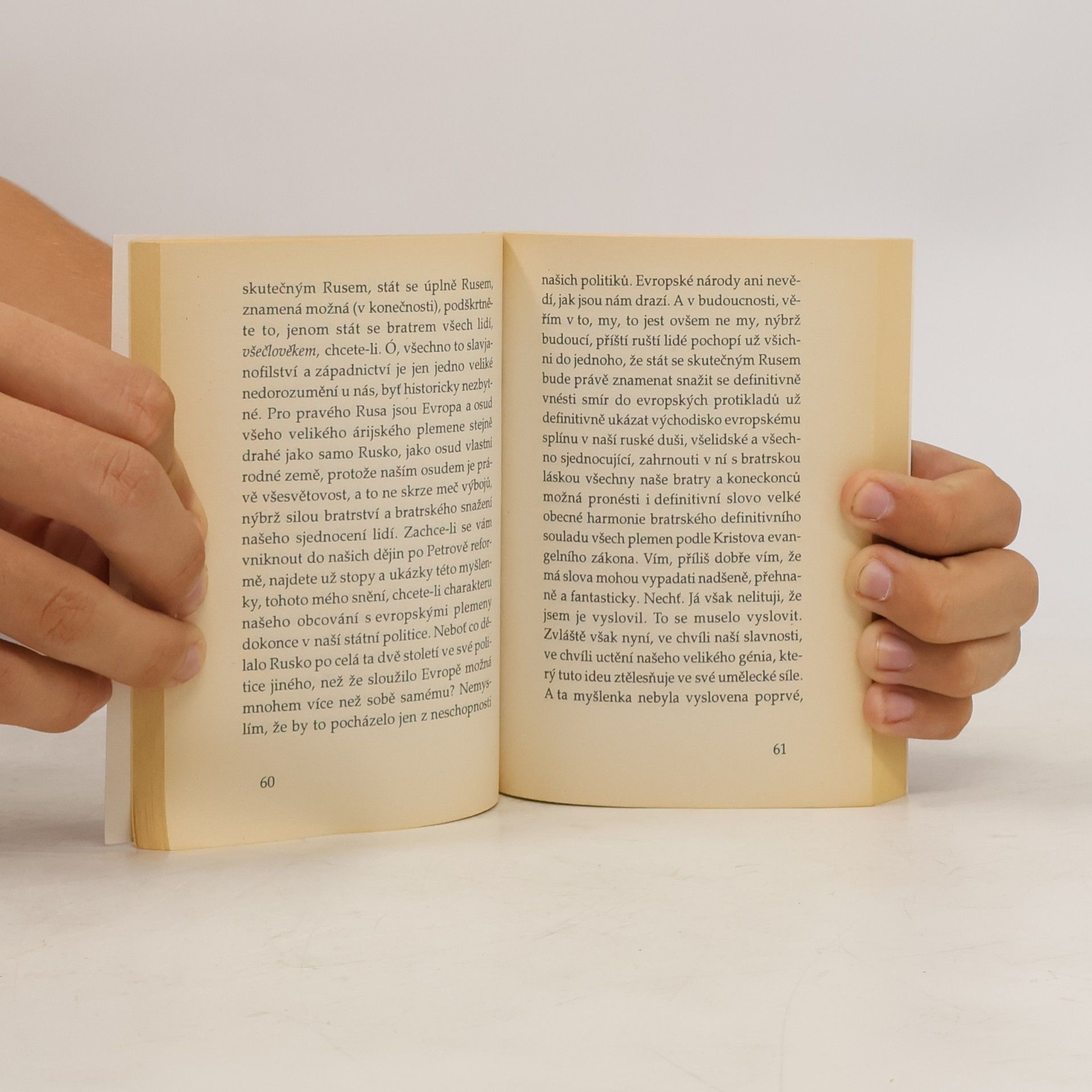 Fyodor Dostoyevsky Deník spisovatelův : za rok 1880-1881