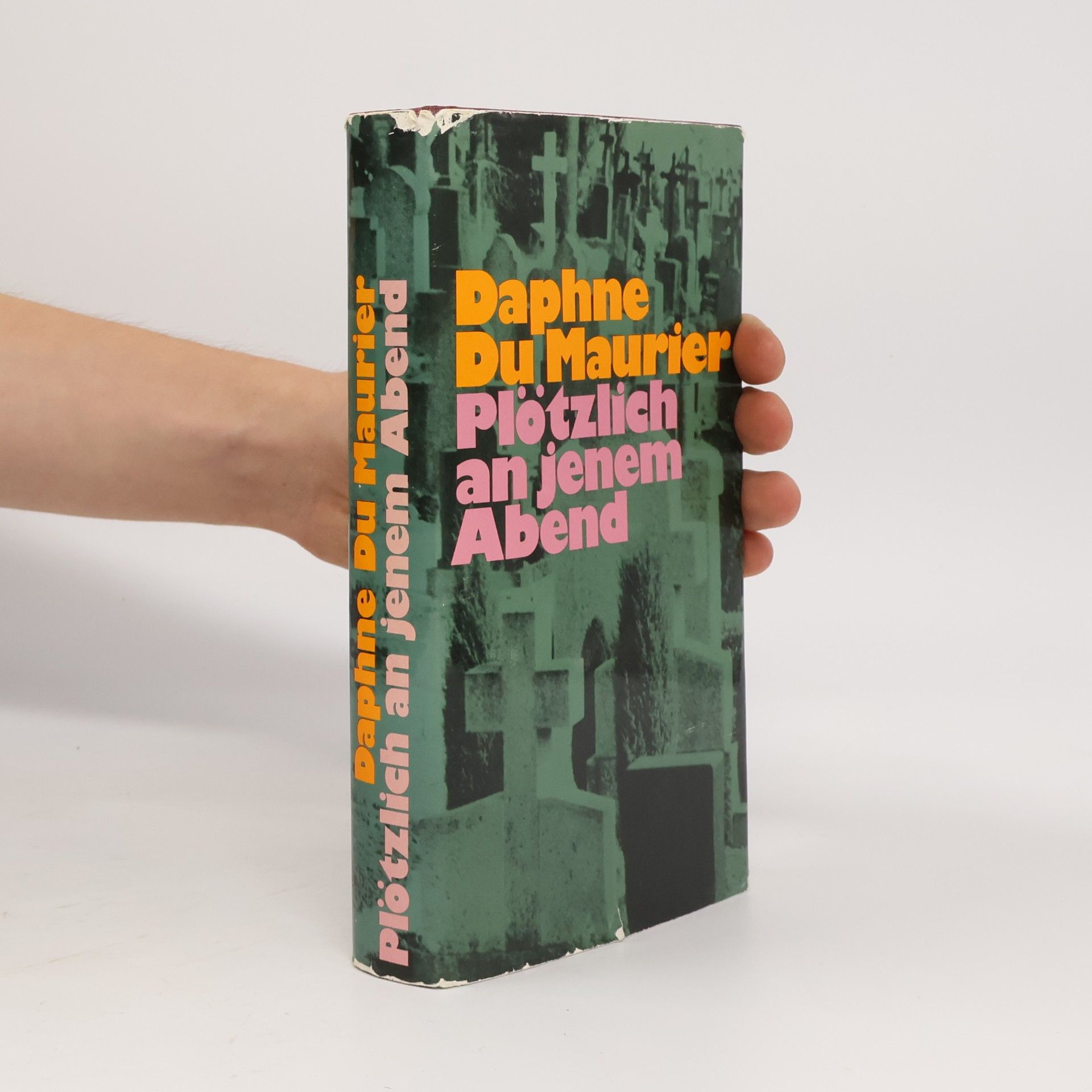 Daphne du Maurier Plötzlich an jenem Abend