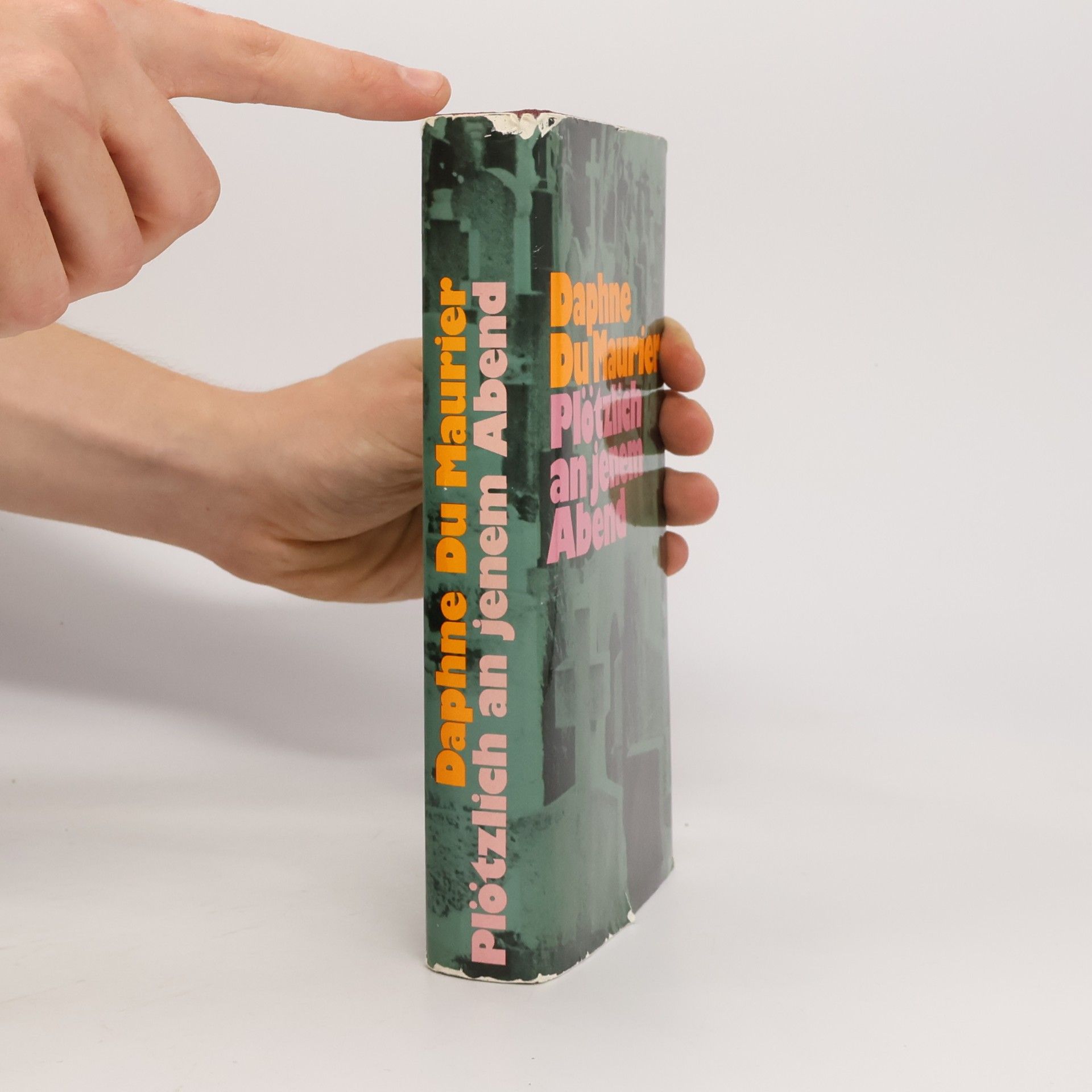 Daphne du Maurier Plötzlich an jenem Abend