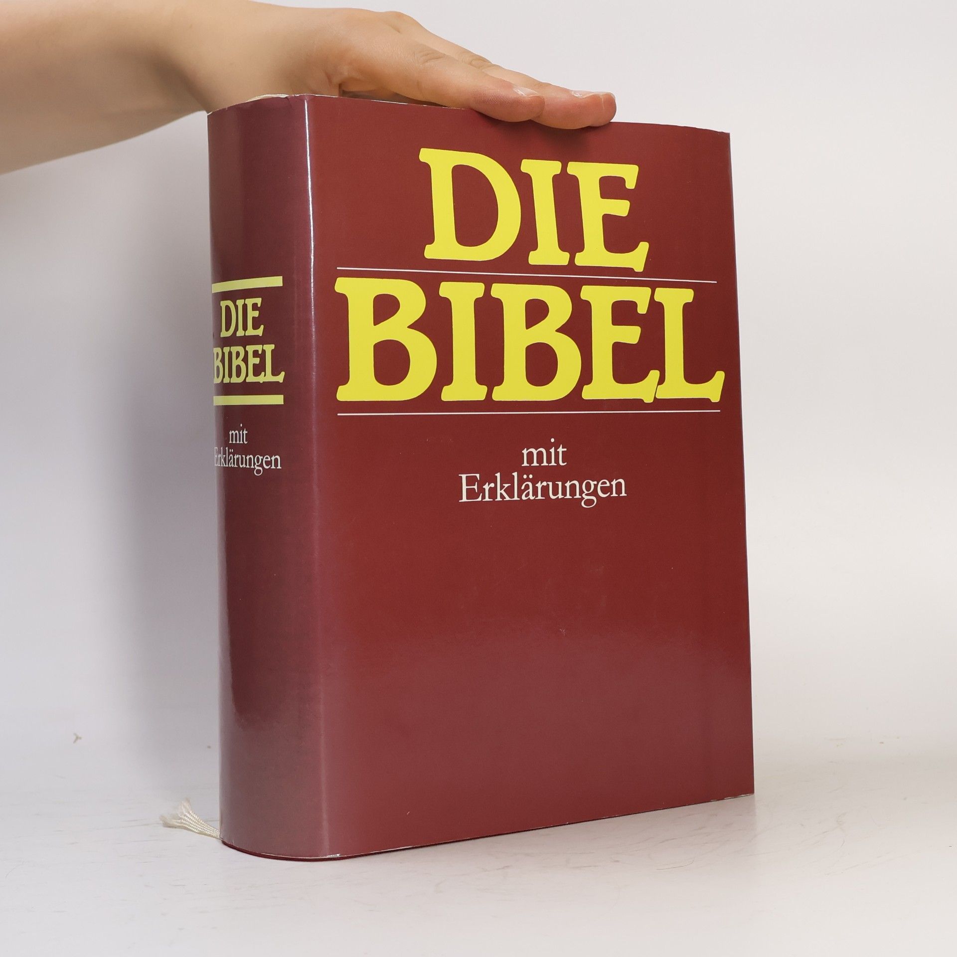 Martin Luther Die Bibel mit Erklärungen