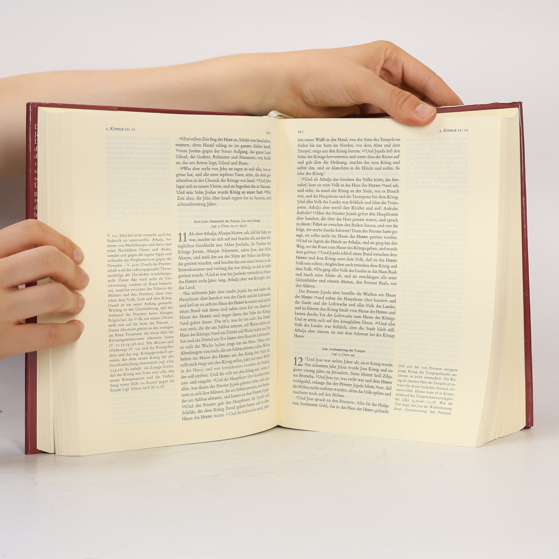 Martin Luther Die Bibel mit Erklärungen